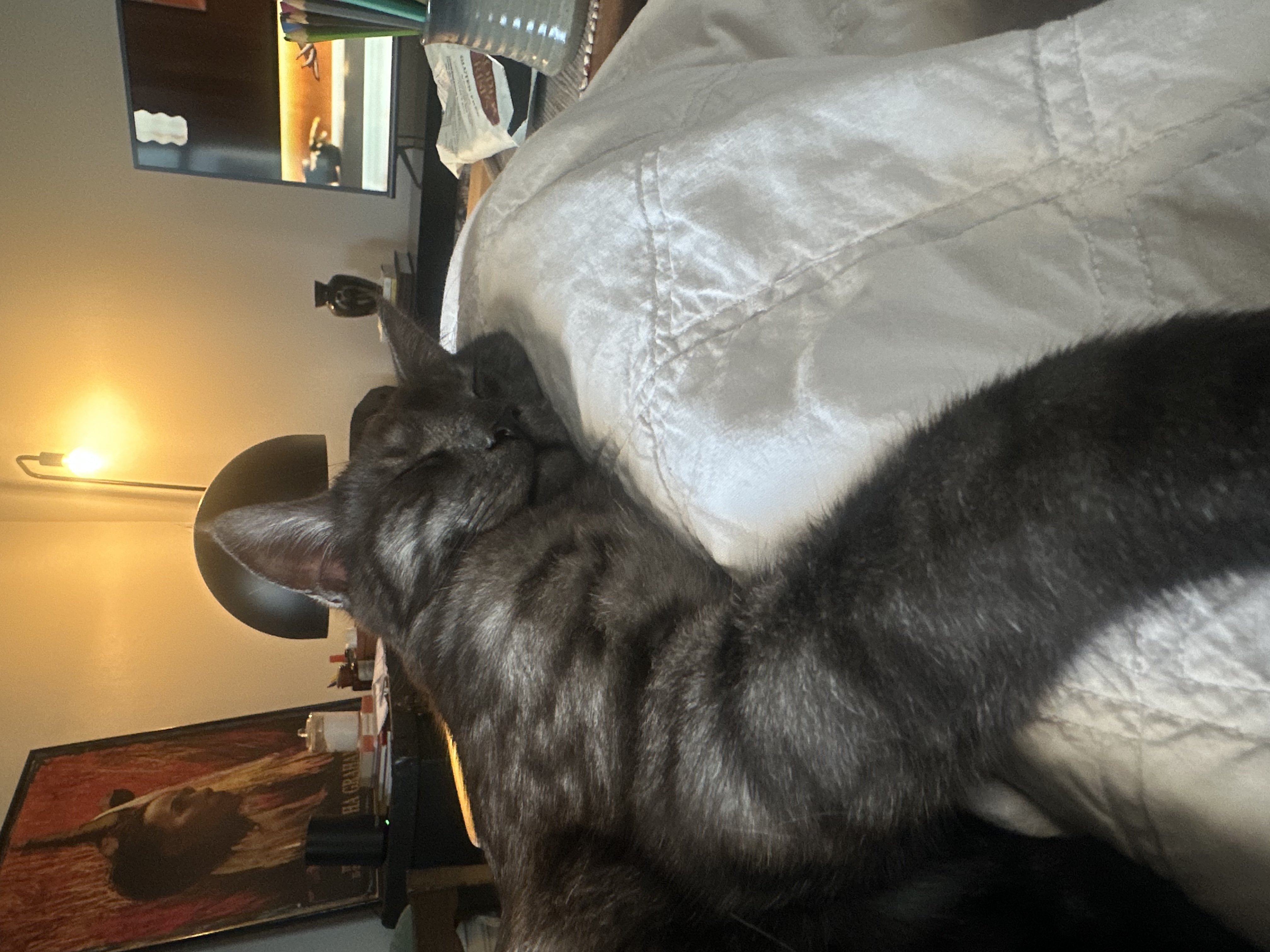image-6