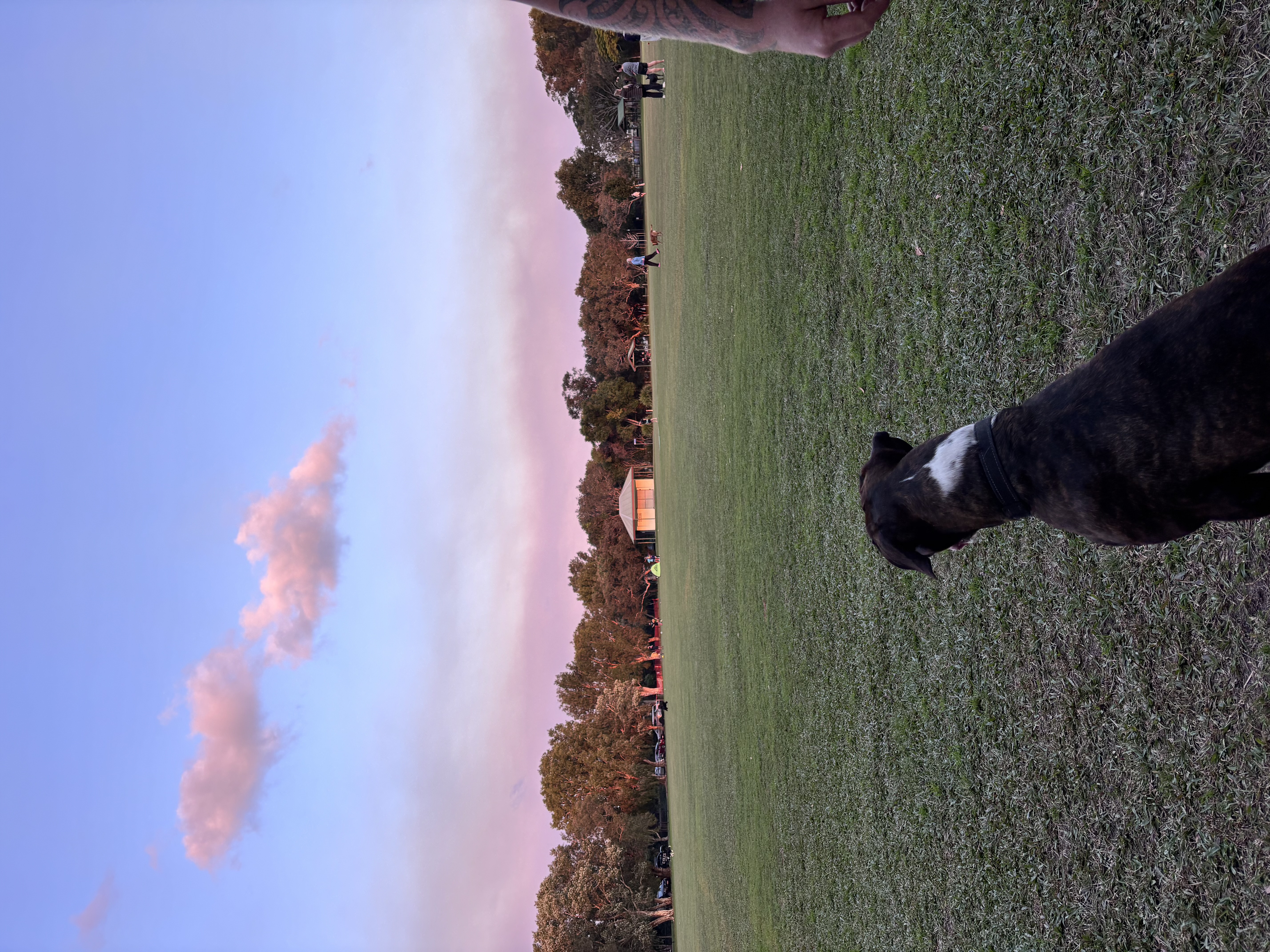 image-10
