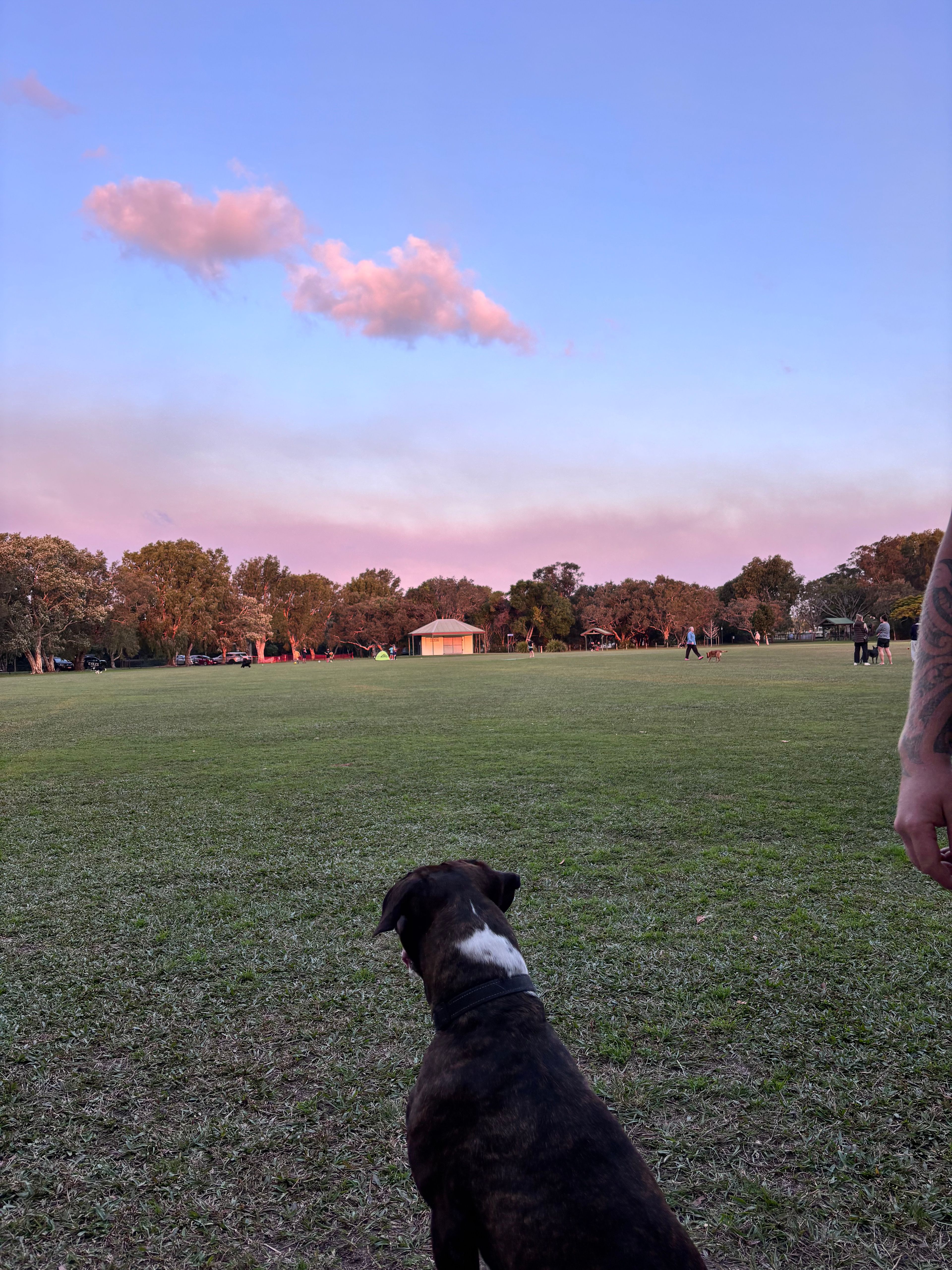 image-10