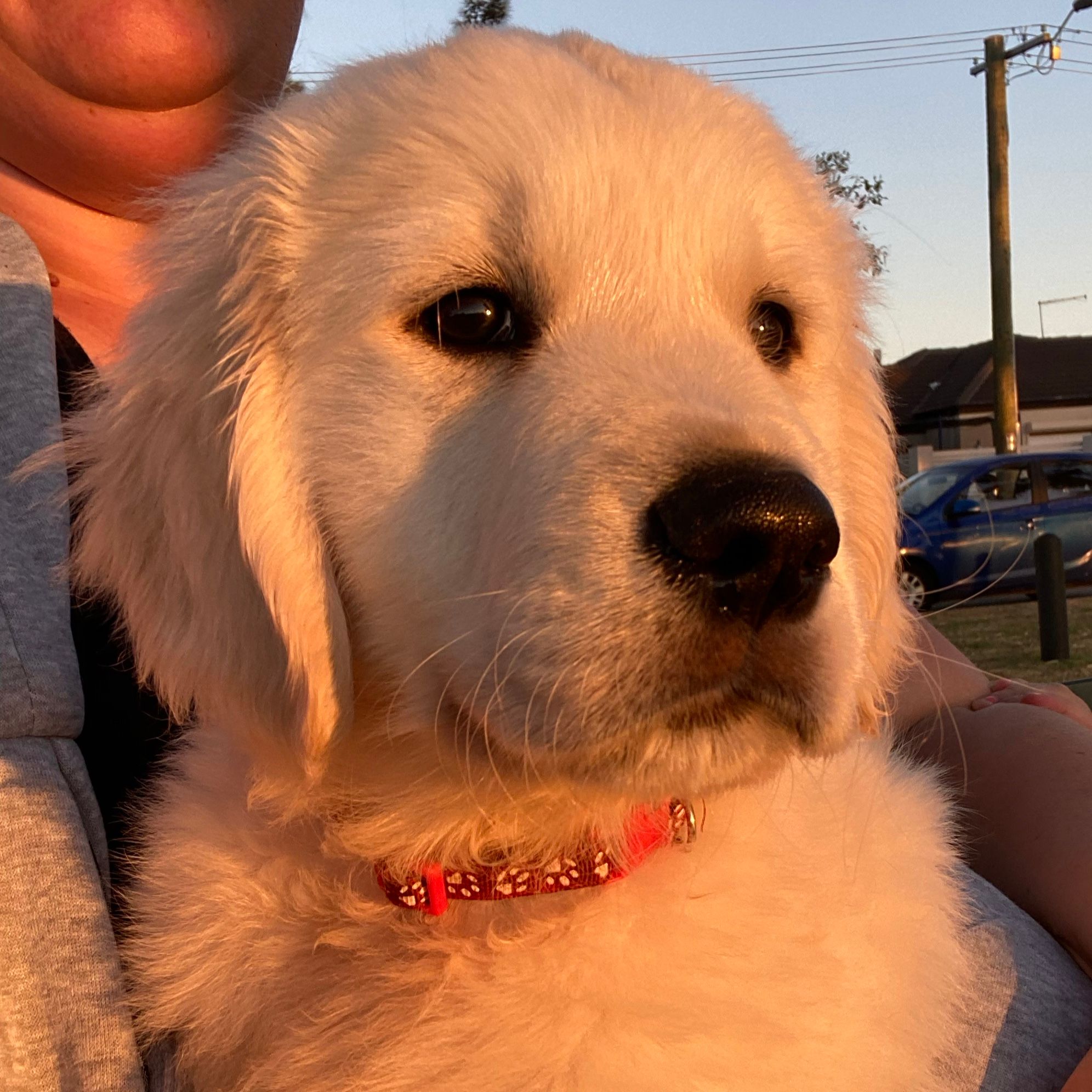 Charlie