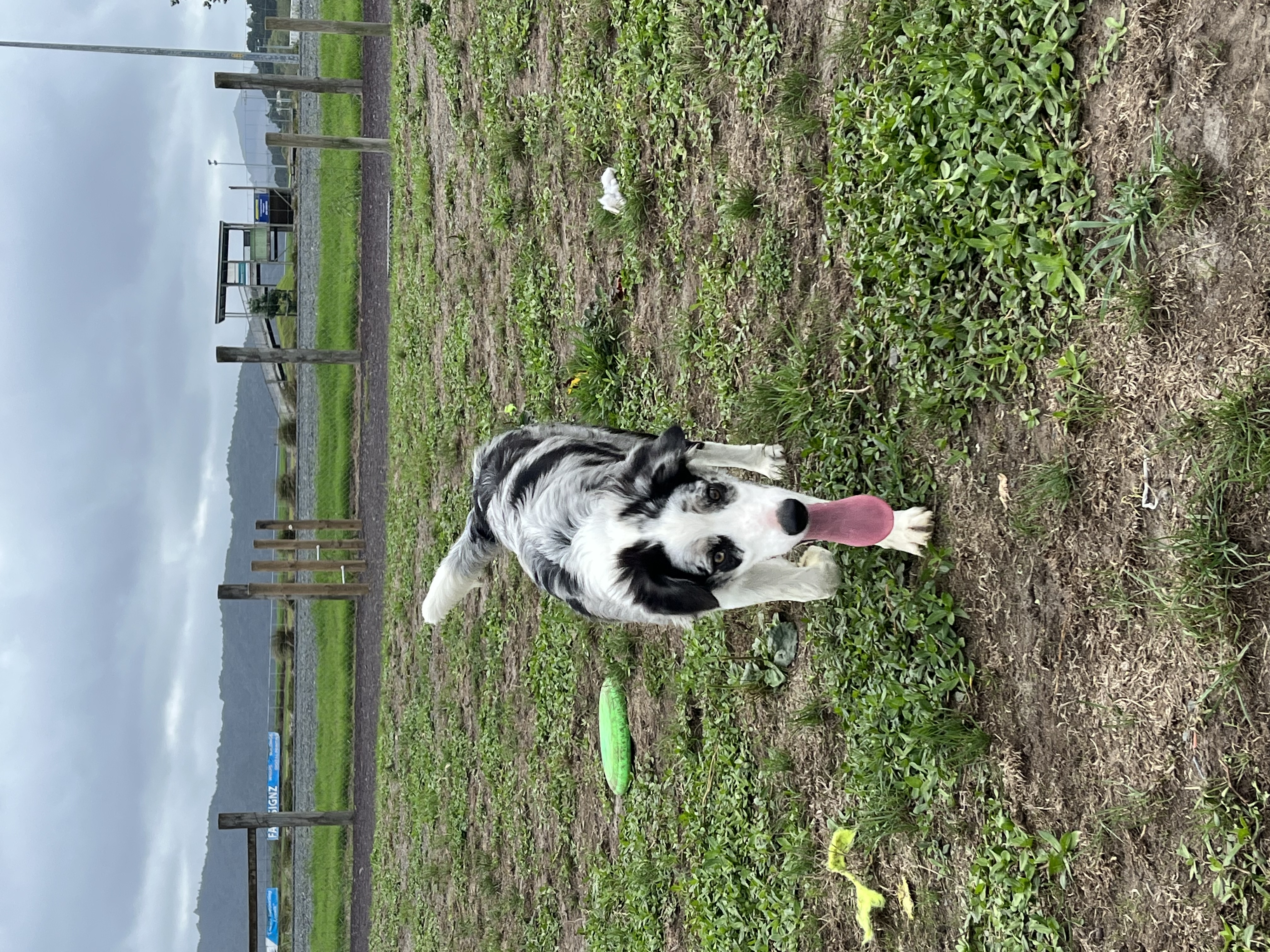 image-6