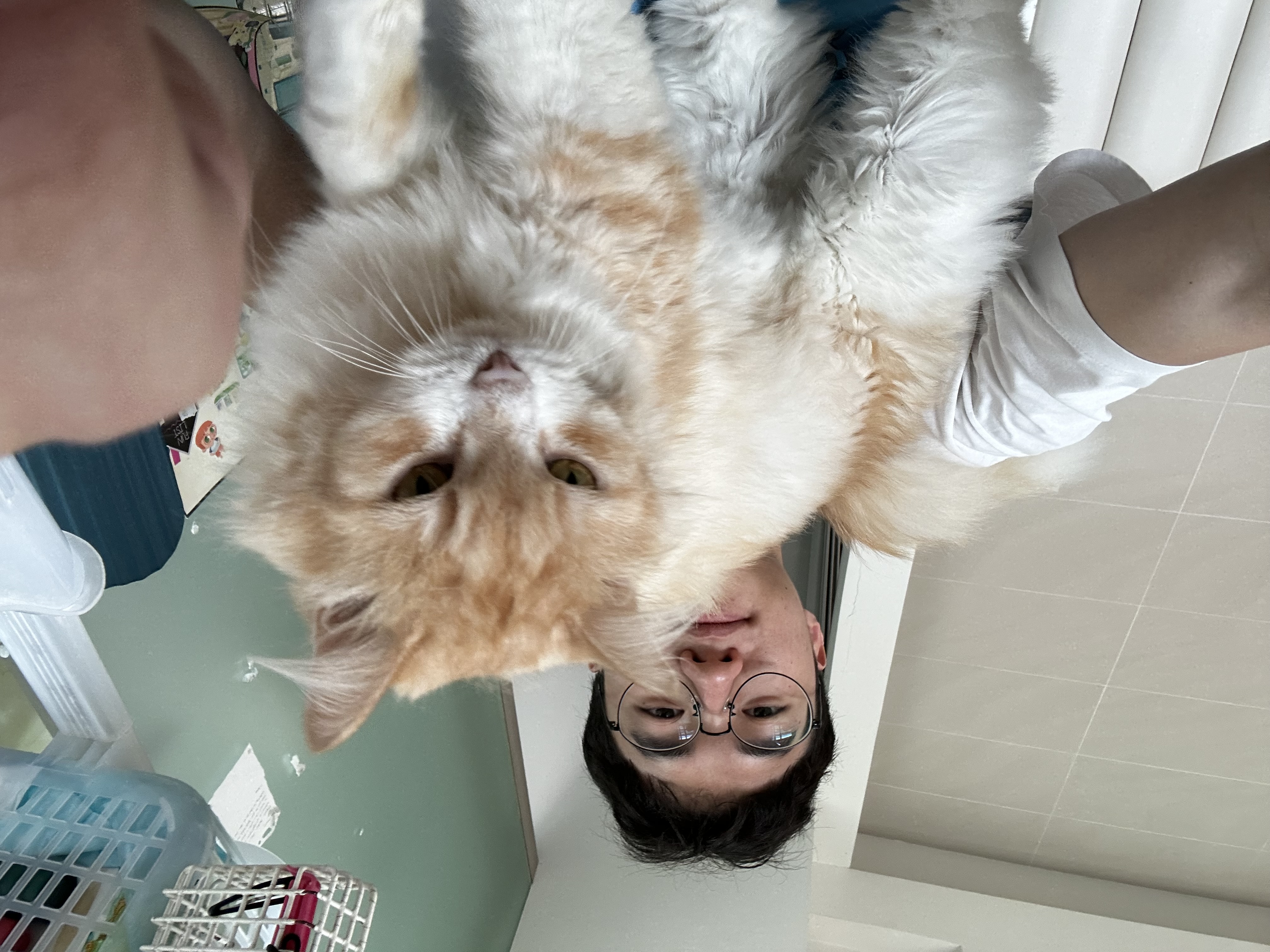 image-0