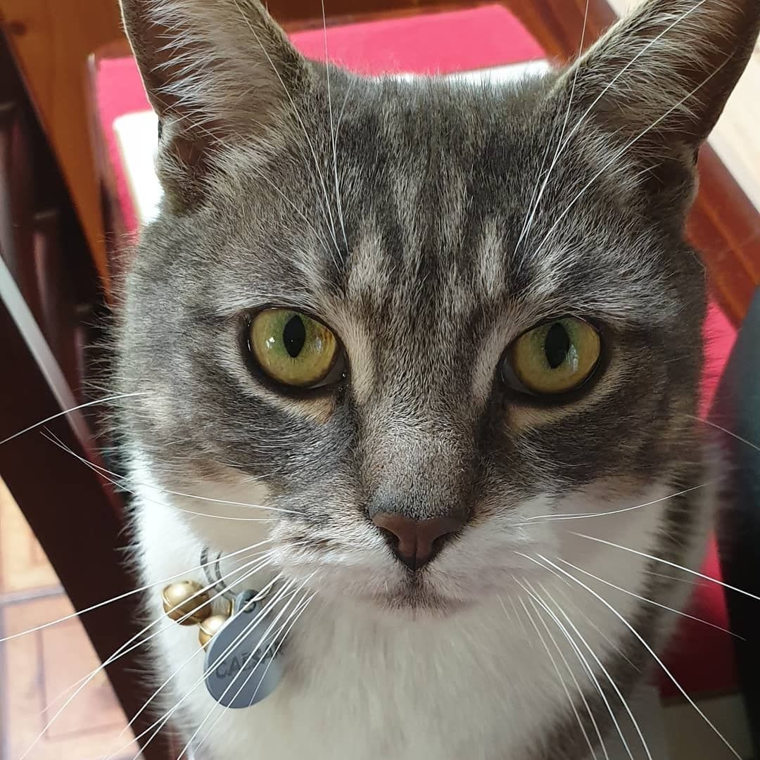 Caesar