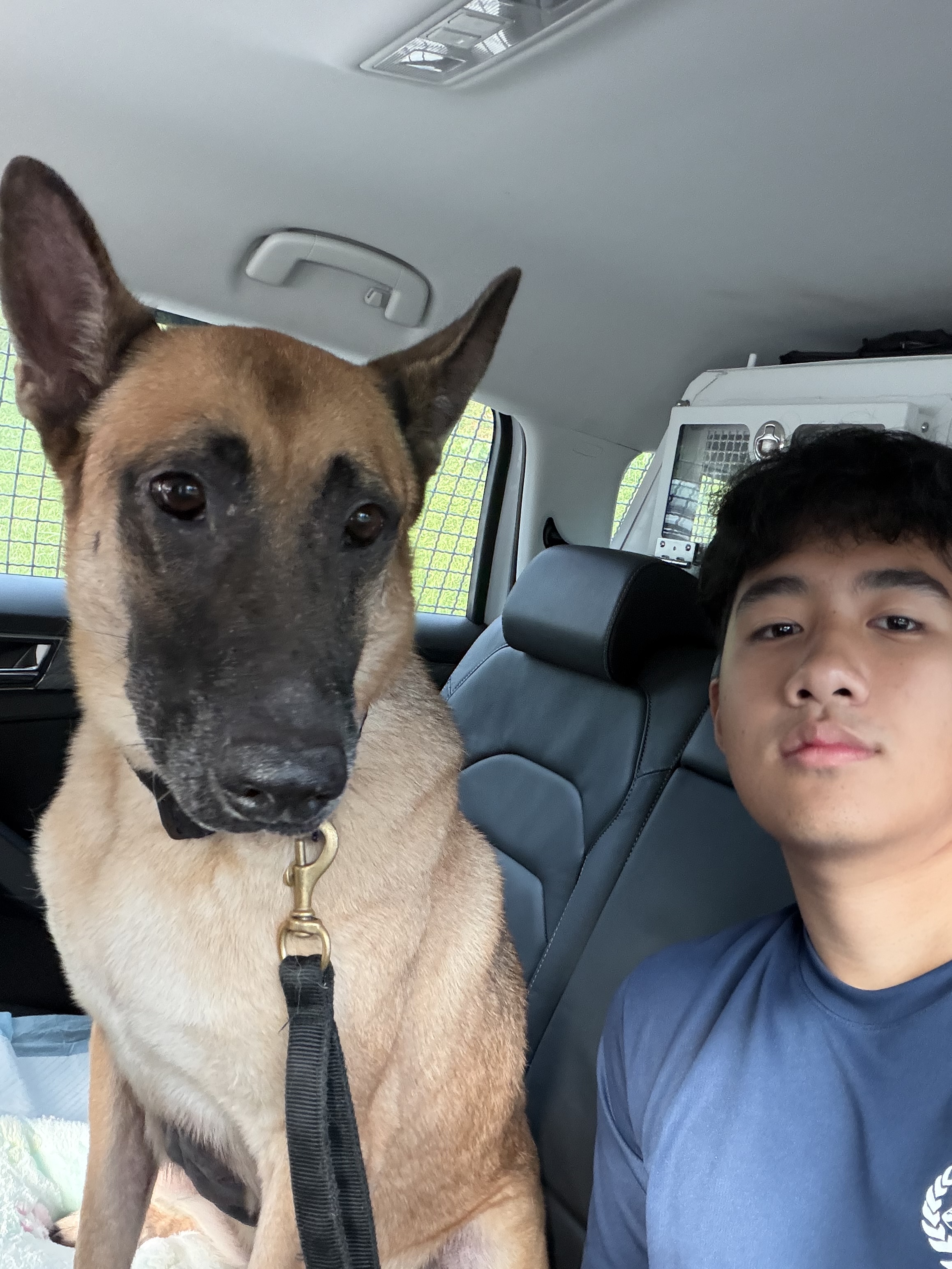 image-4