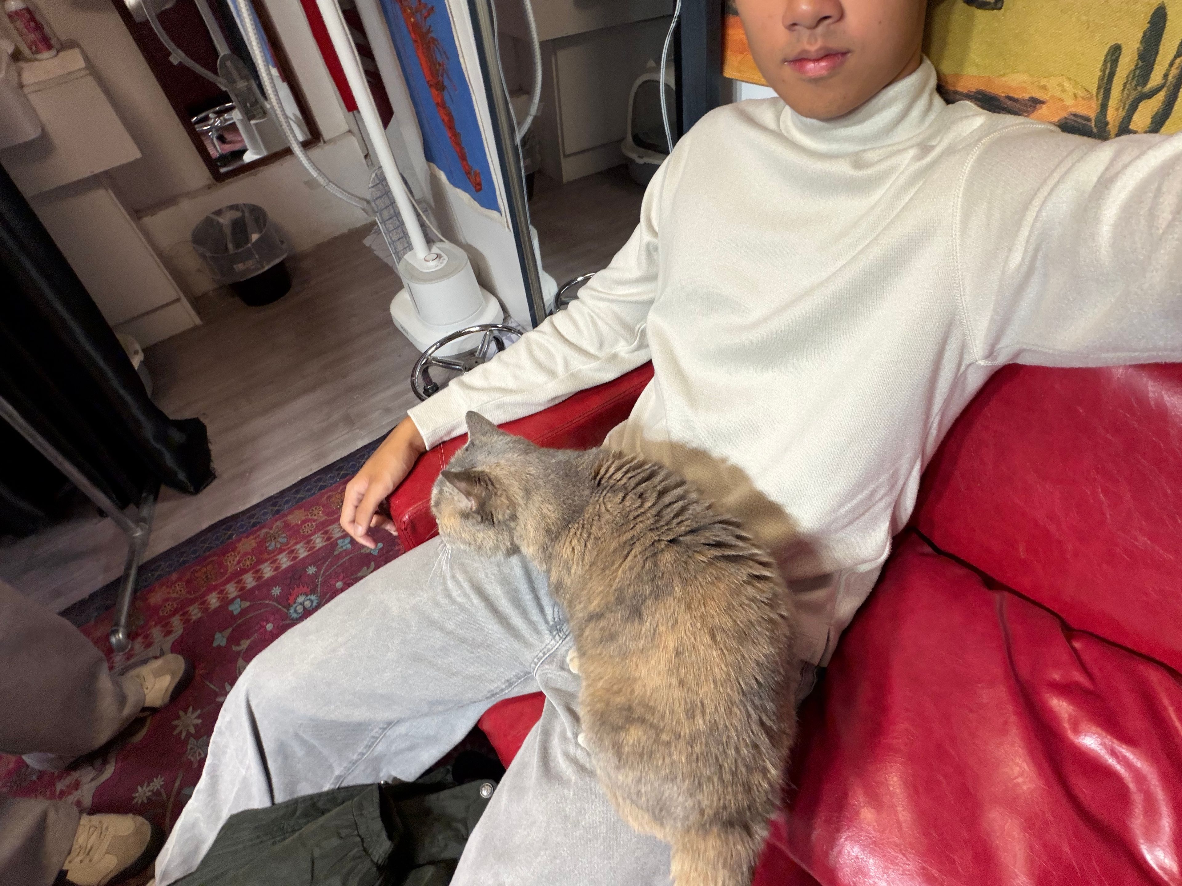 image-12