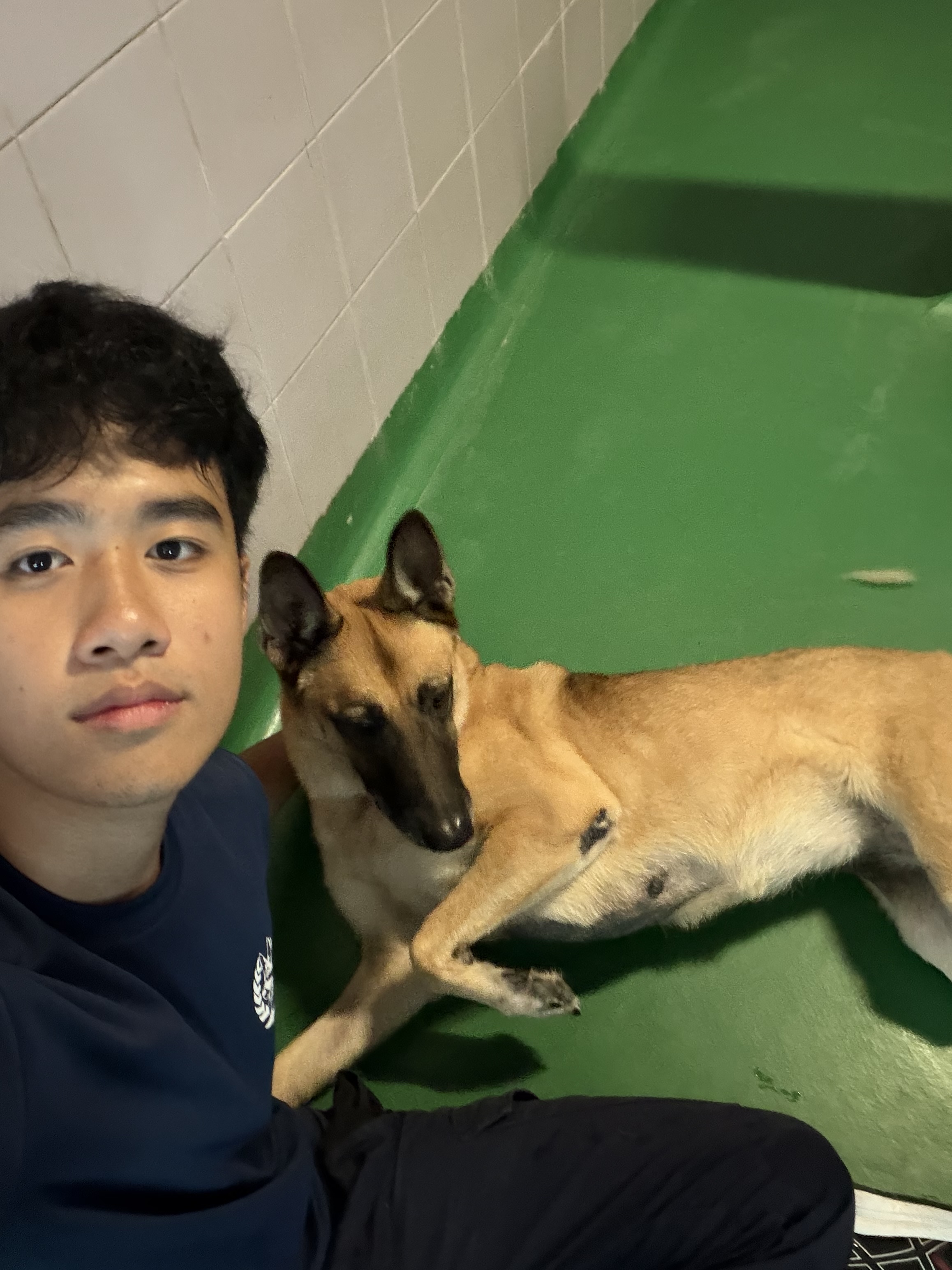 image-10
