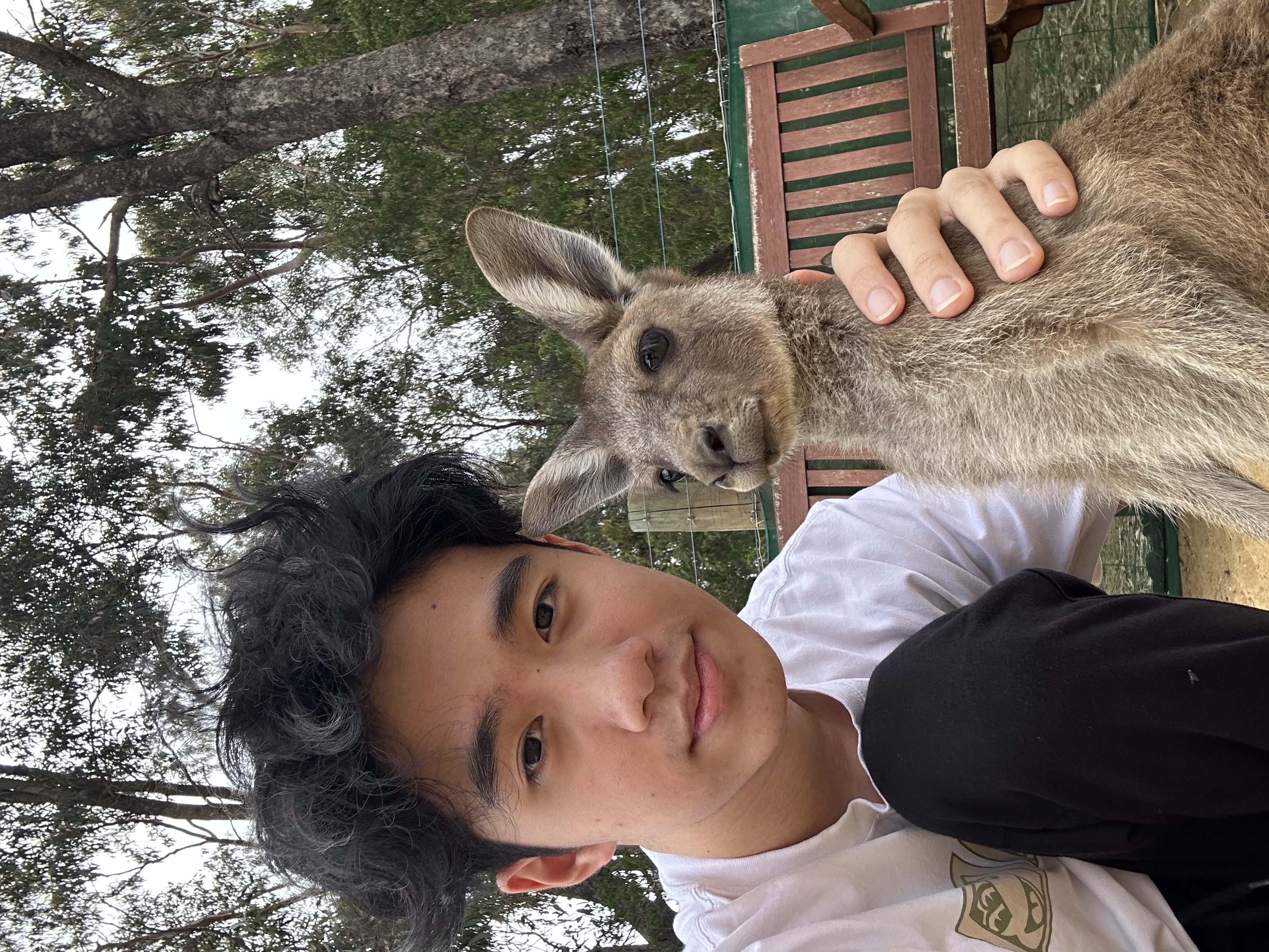 image-7
