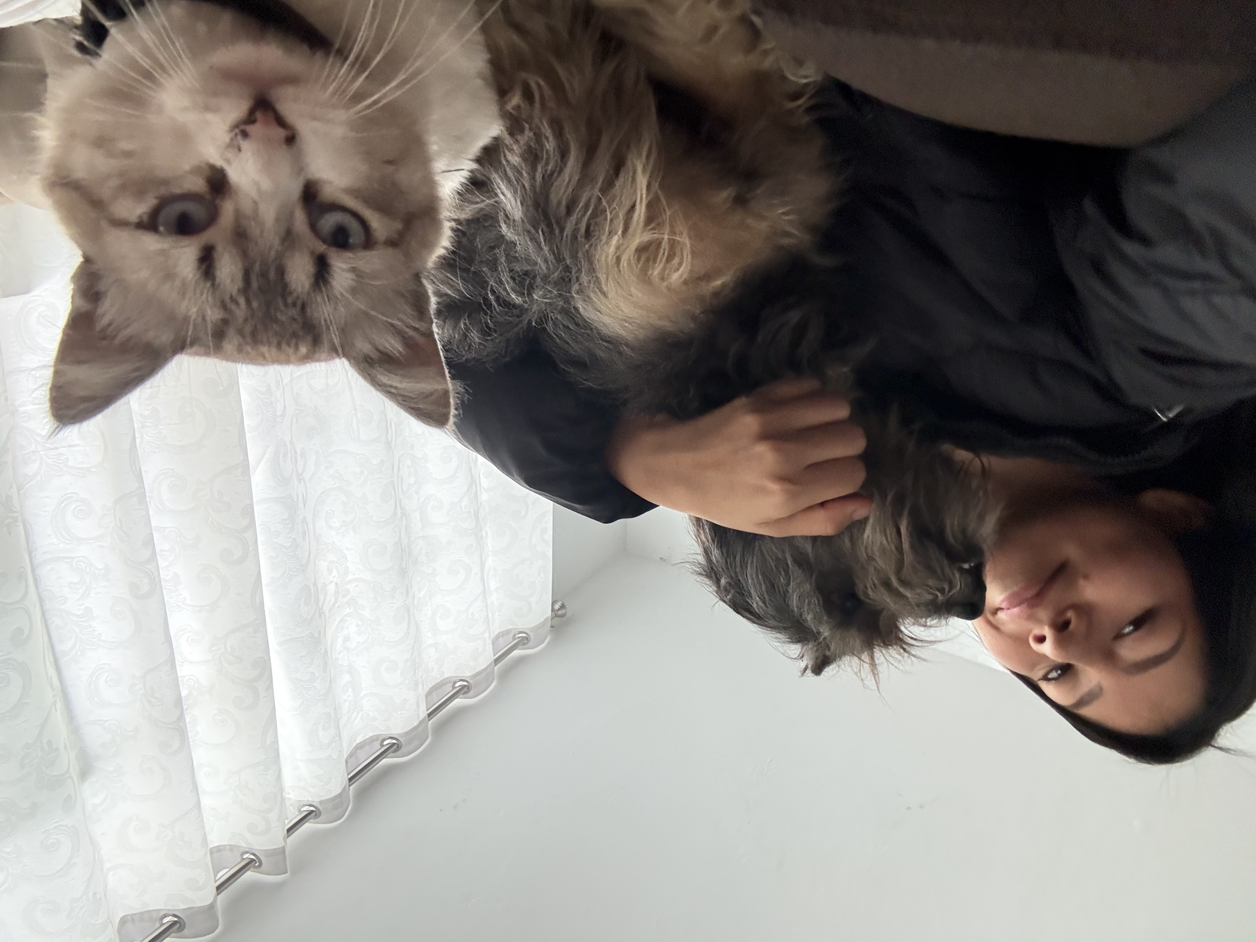 image-7