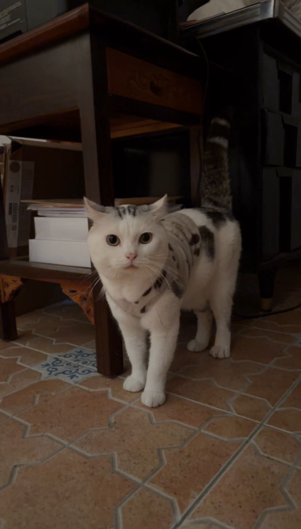 image-13