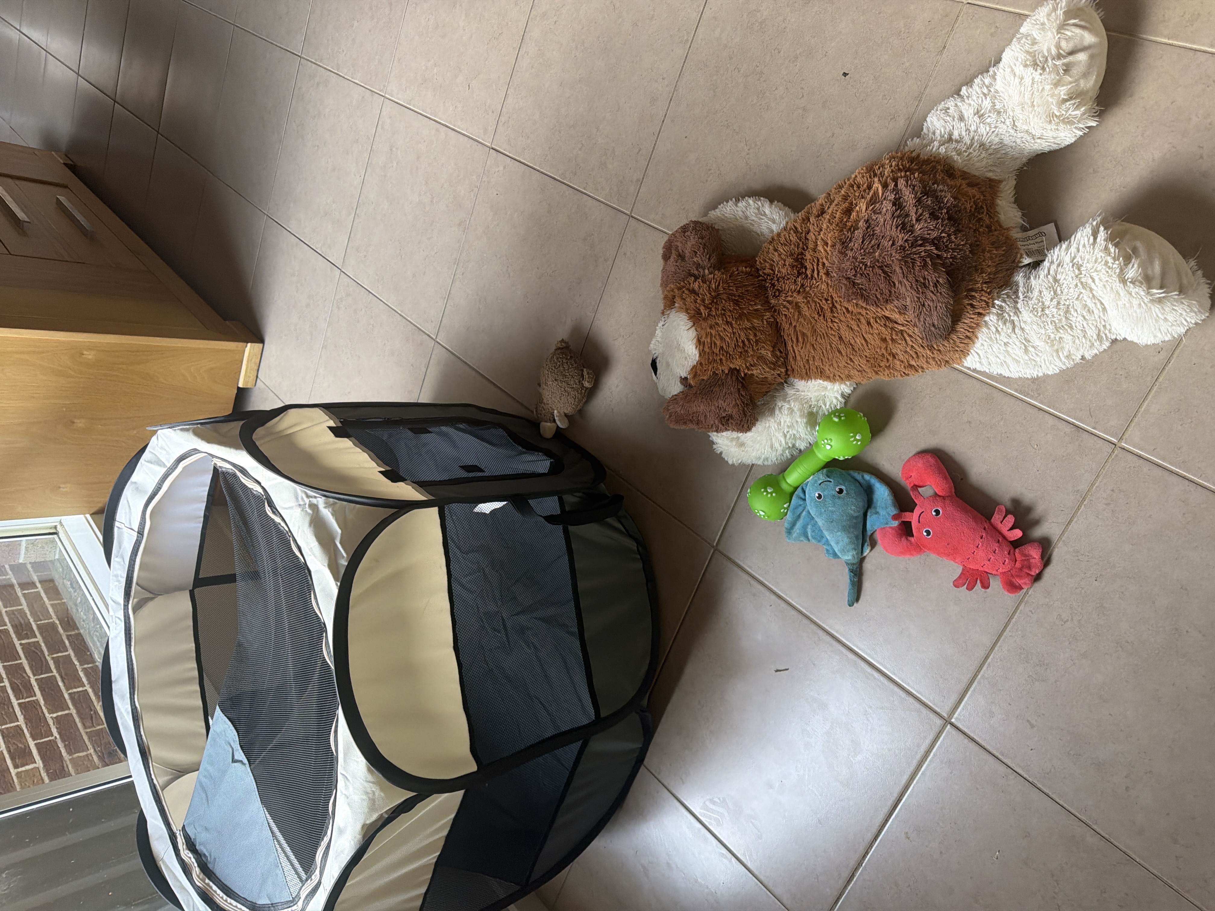 image-9