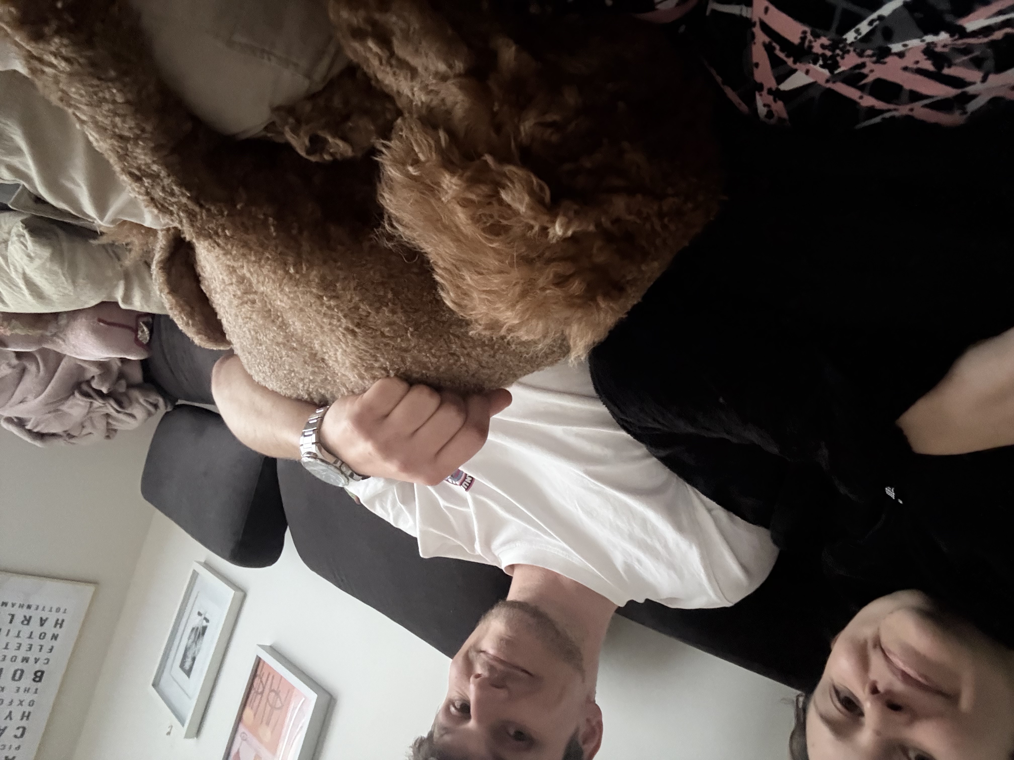 image-7