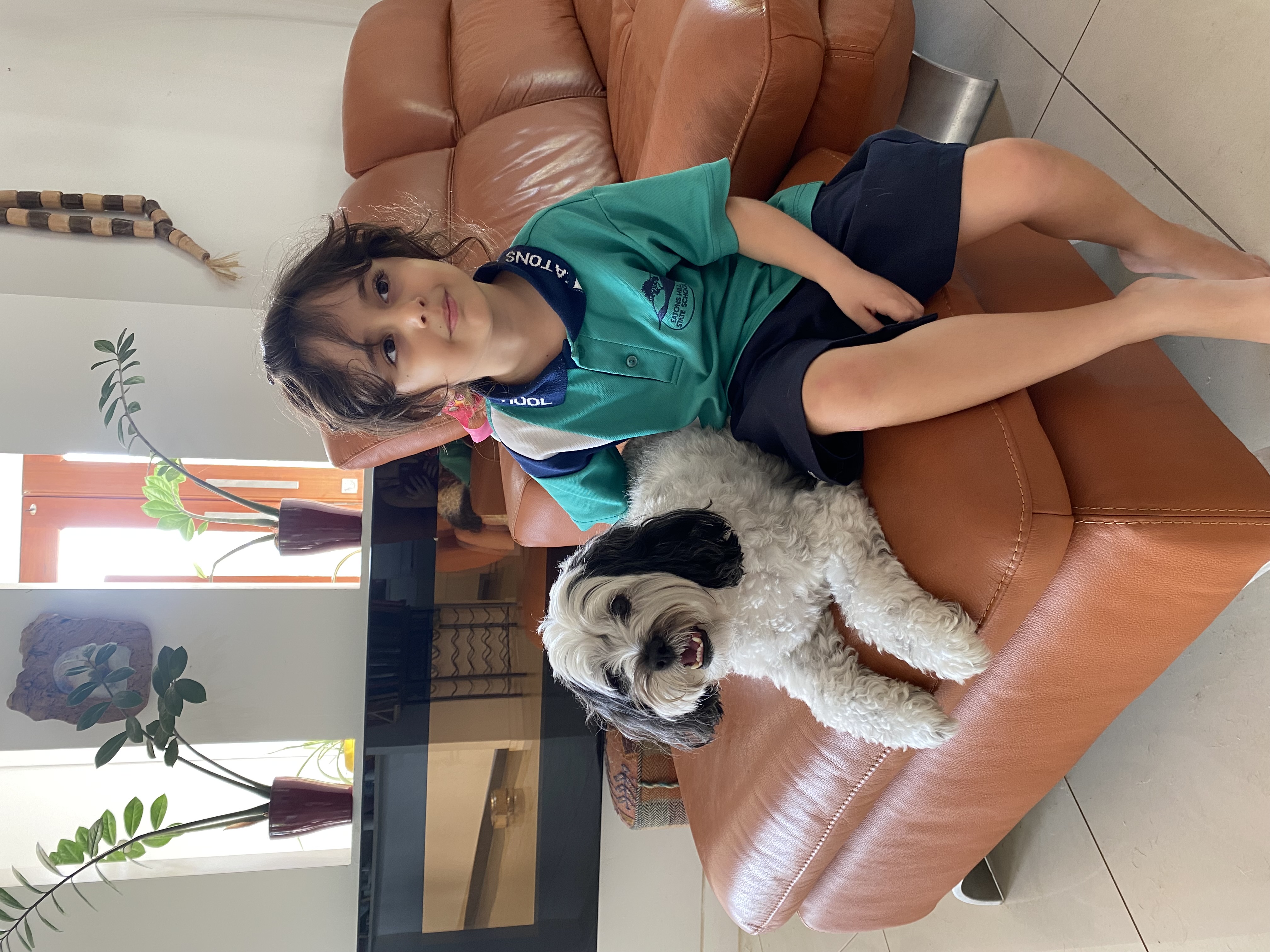 image-8