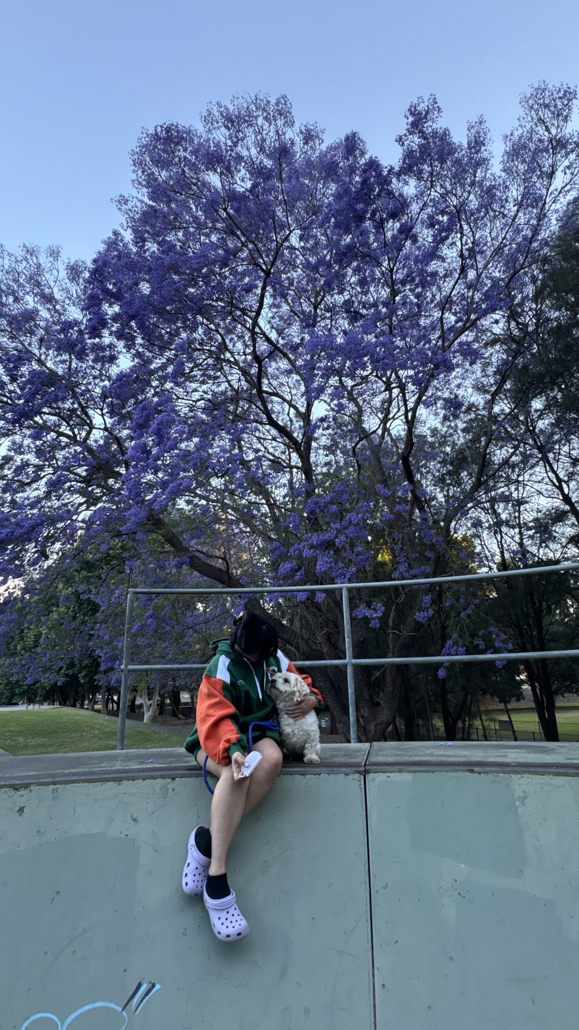 image-8