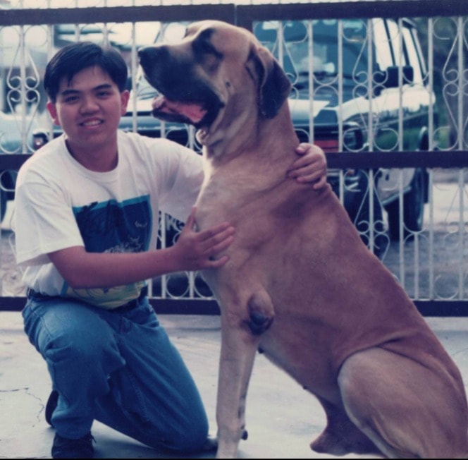 image-5