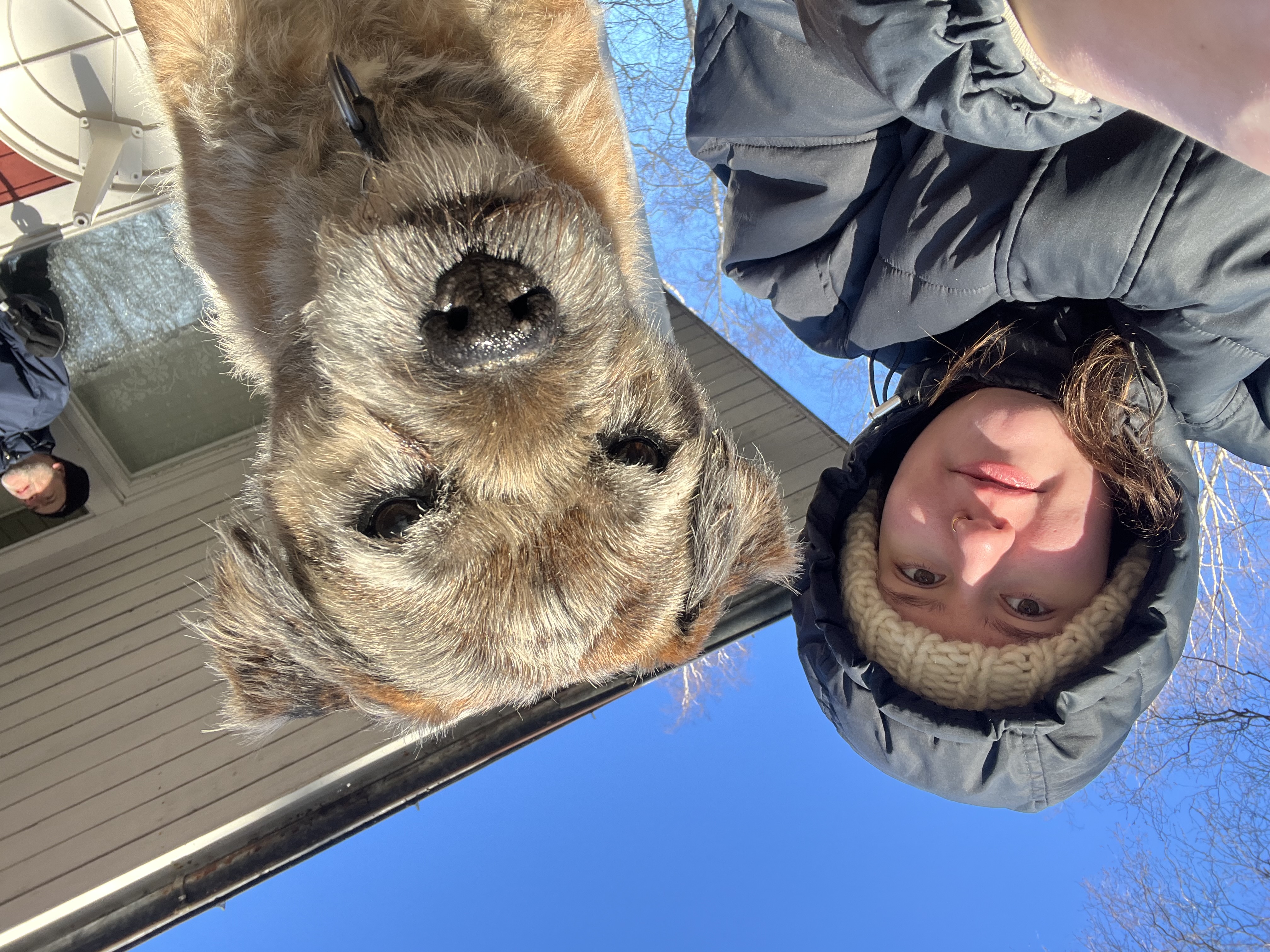 image-11