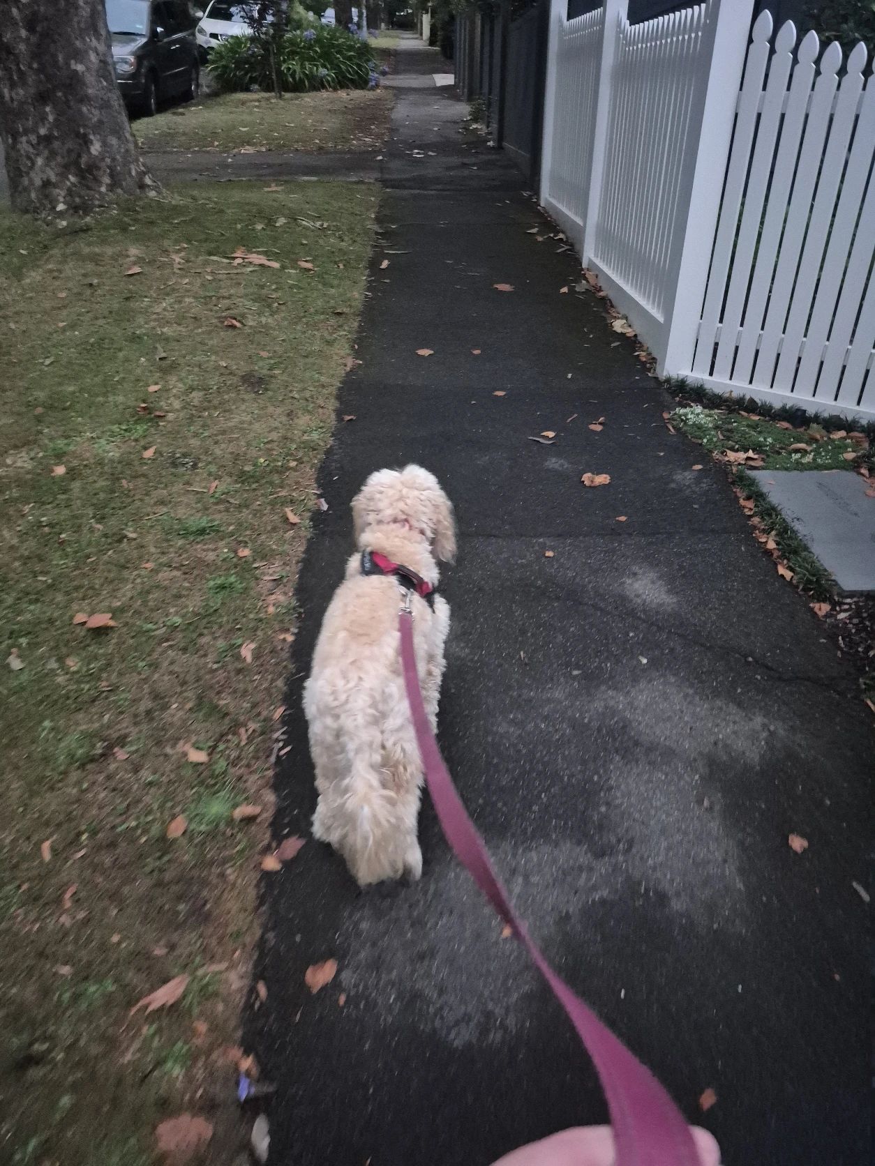 image-11