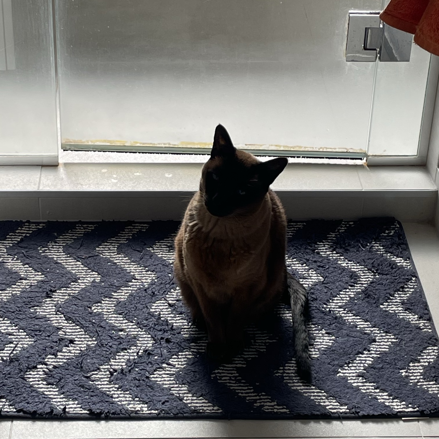 Tico