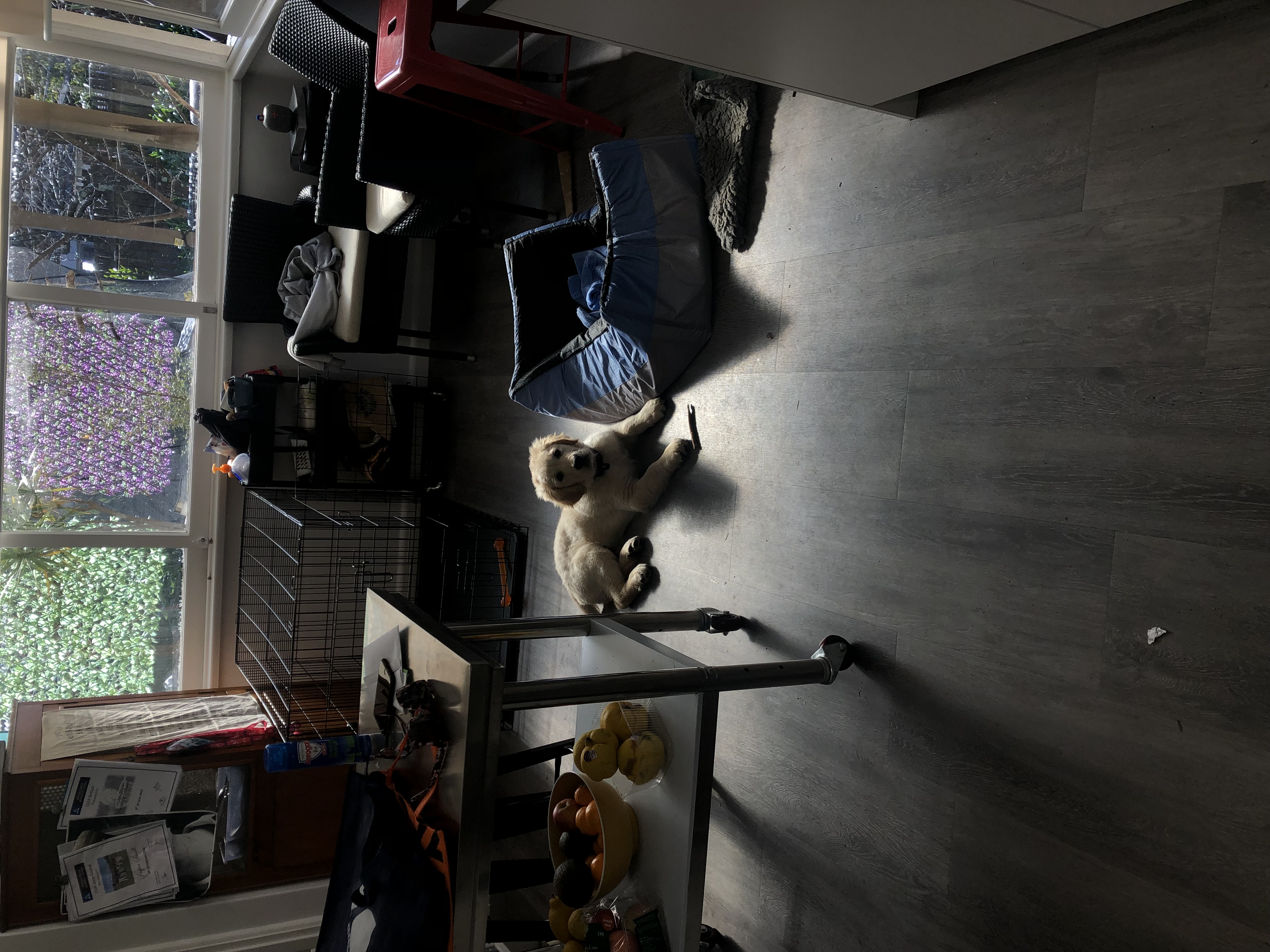 image-14