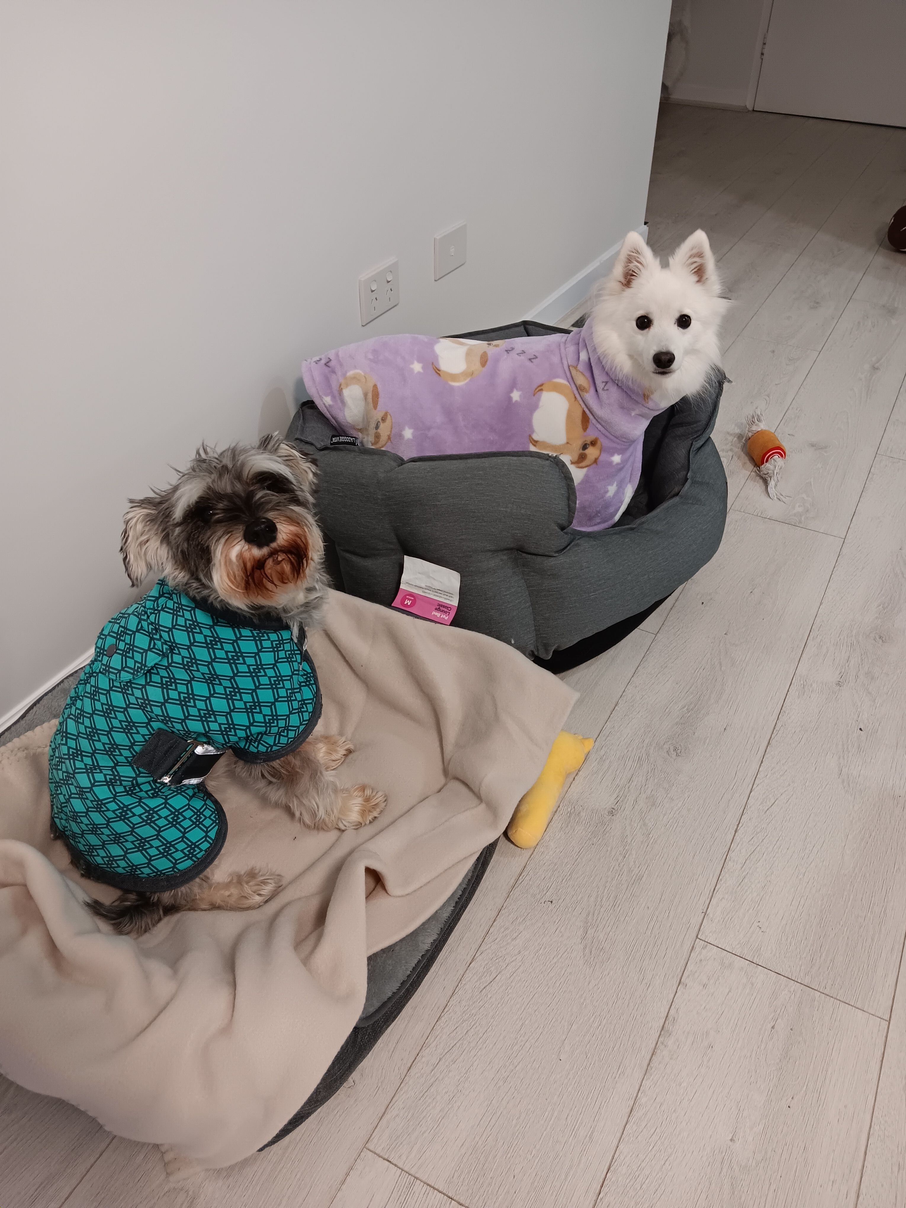 image-10
