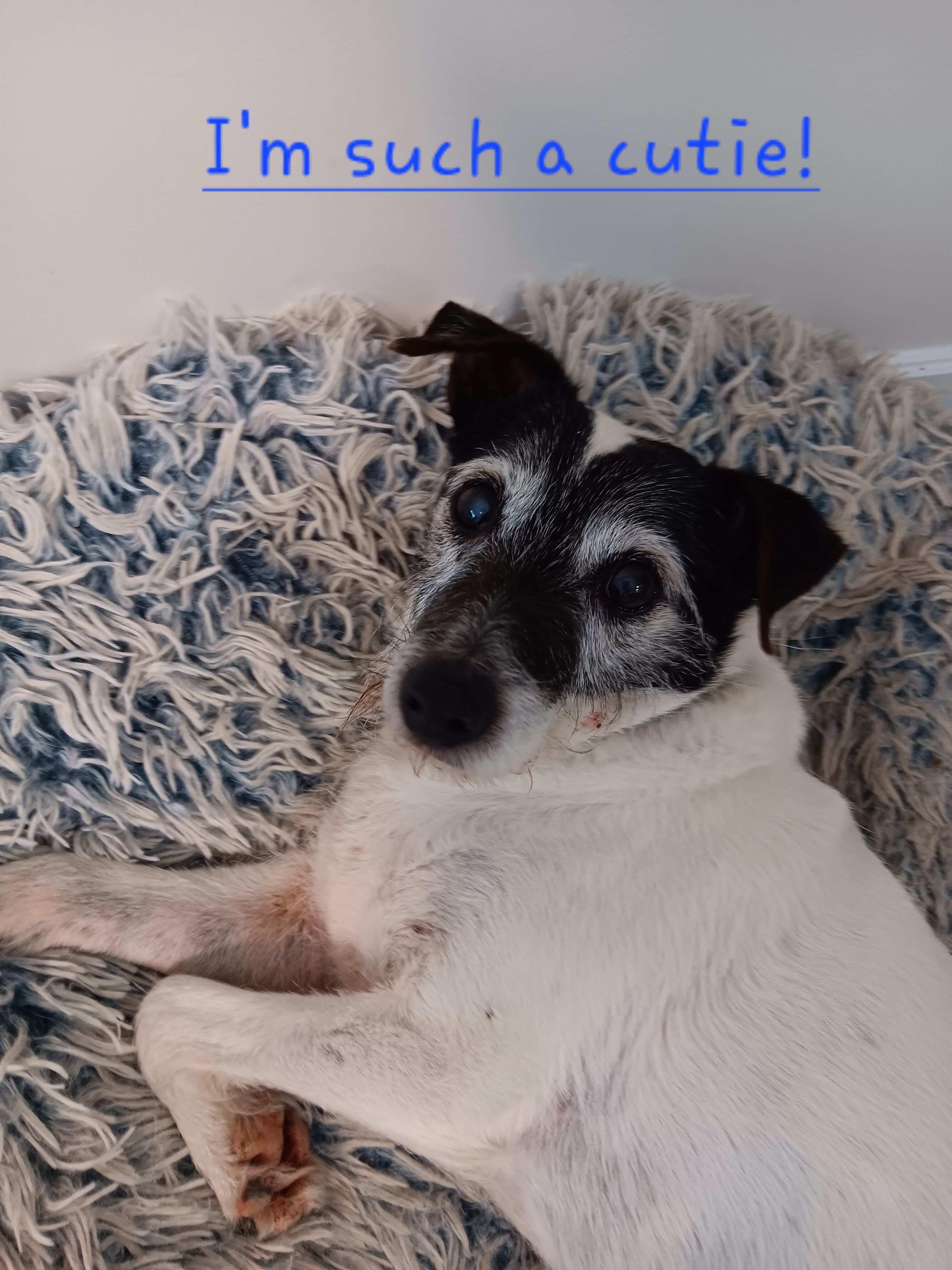 image-21