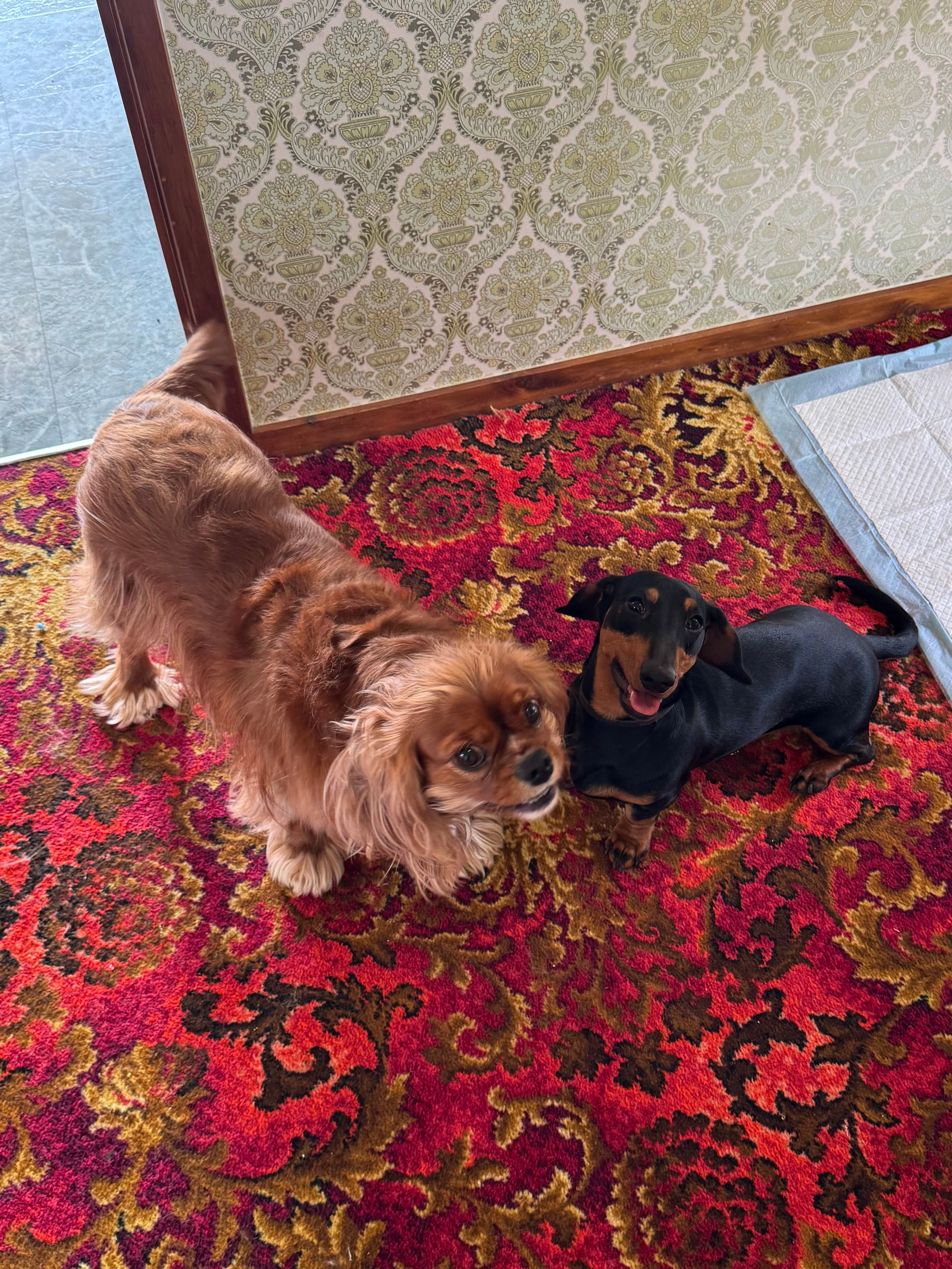 image-5