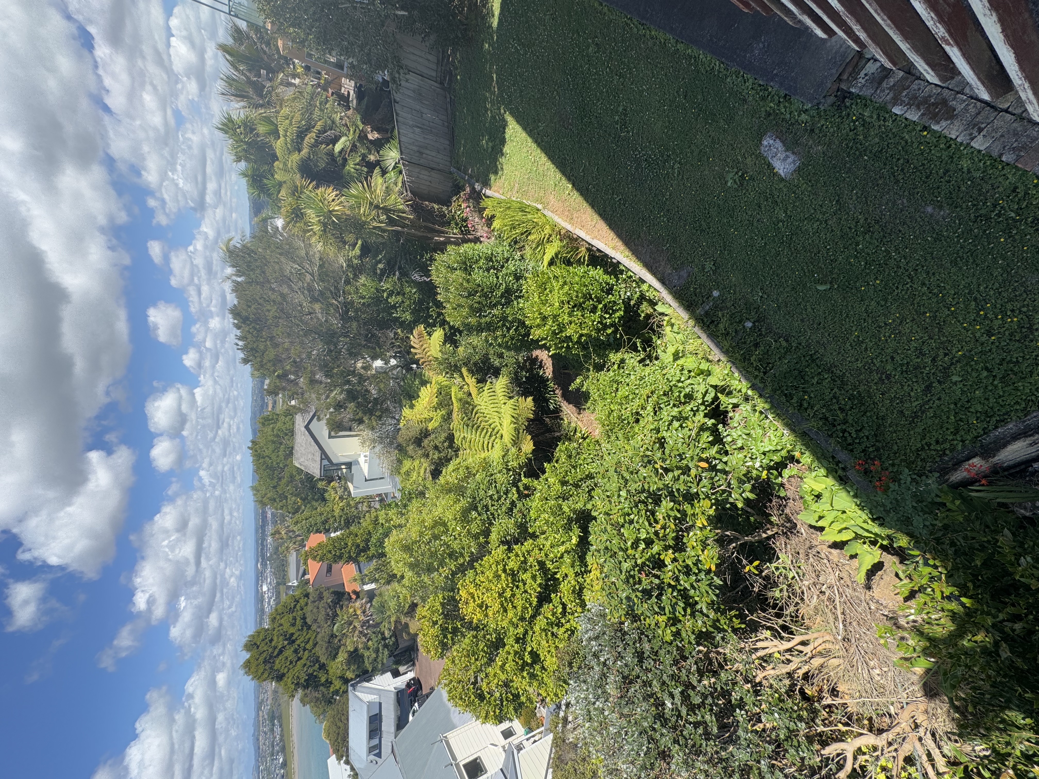 image-27
