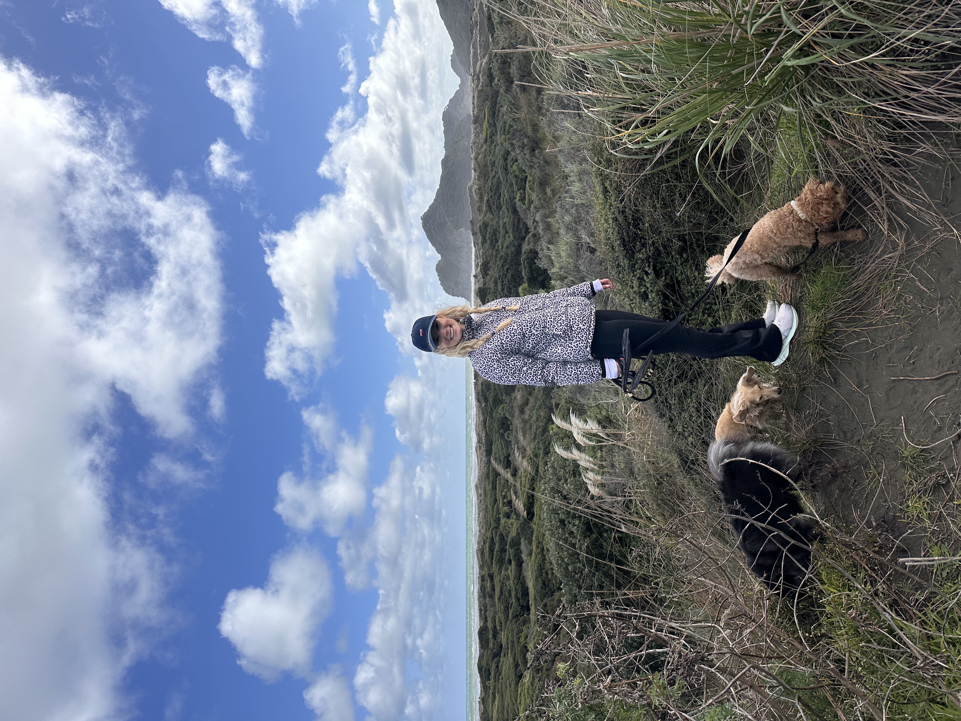 image-16