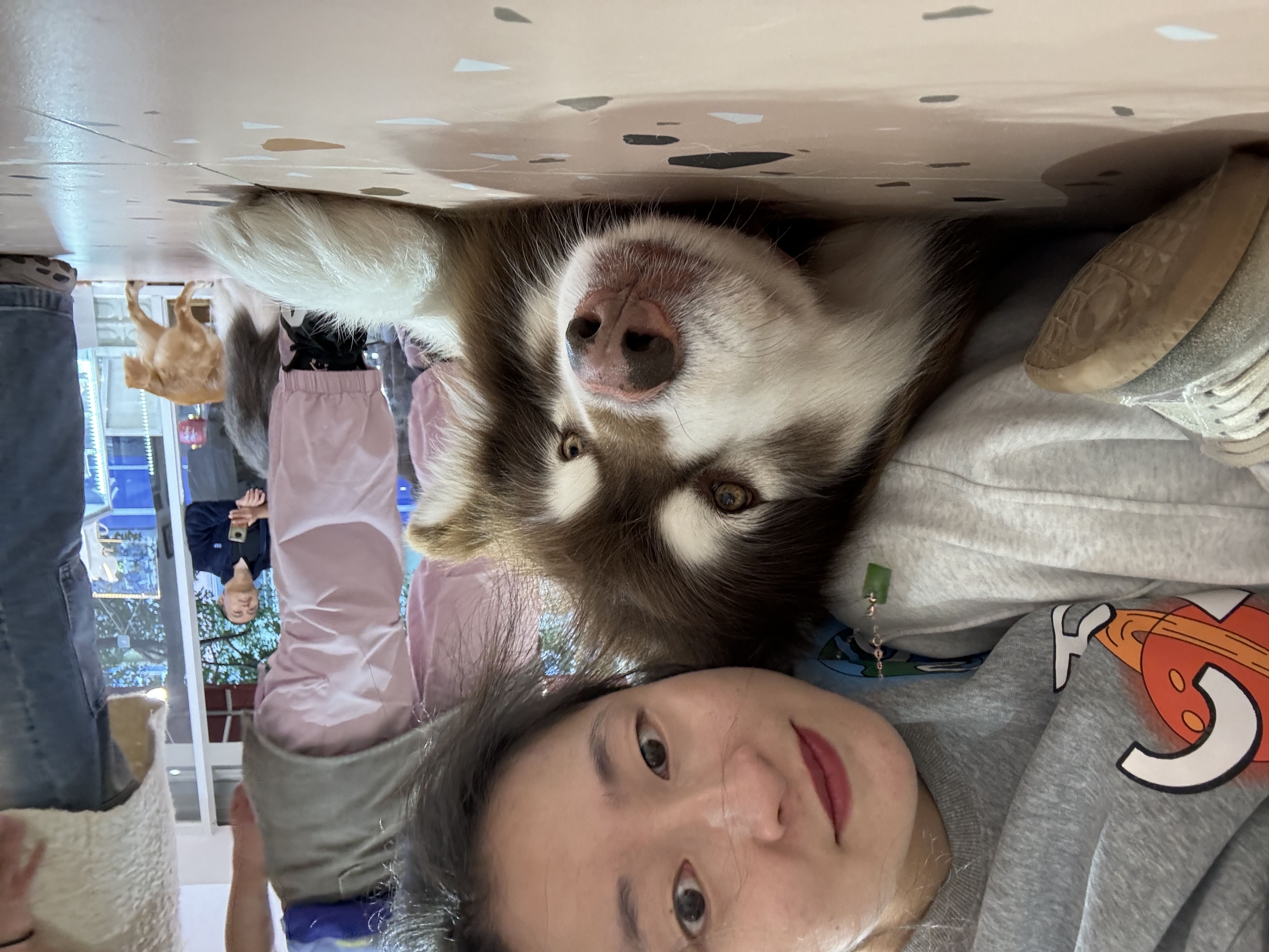 image-7