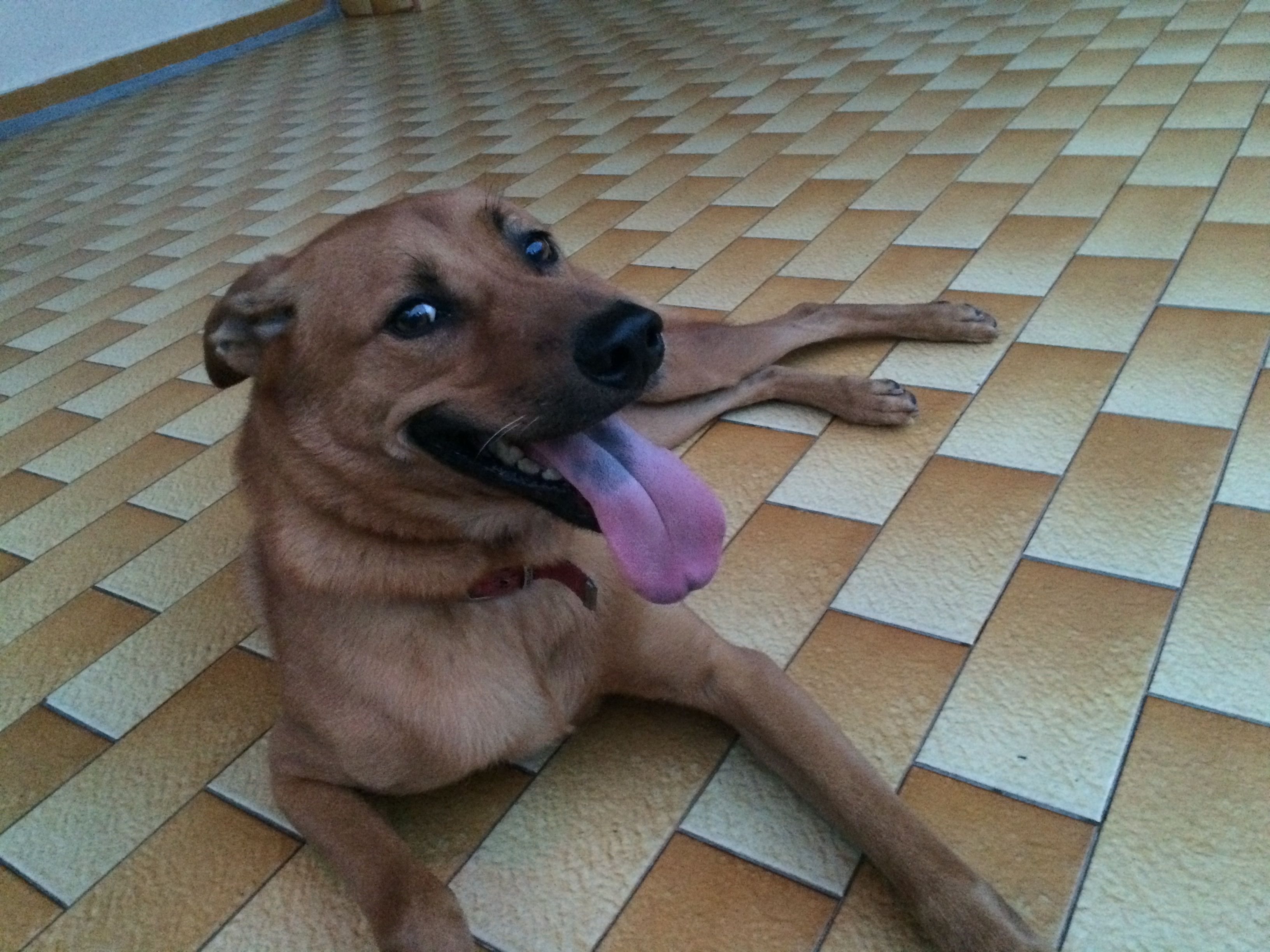image-6