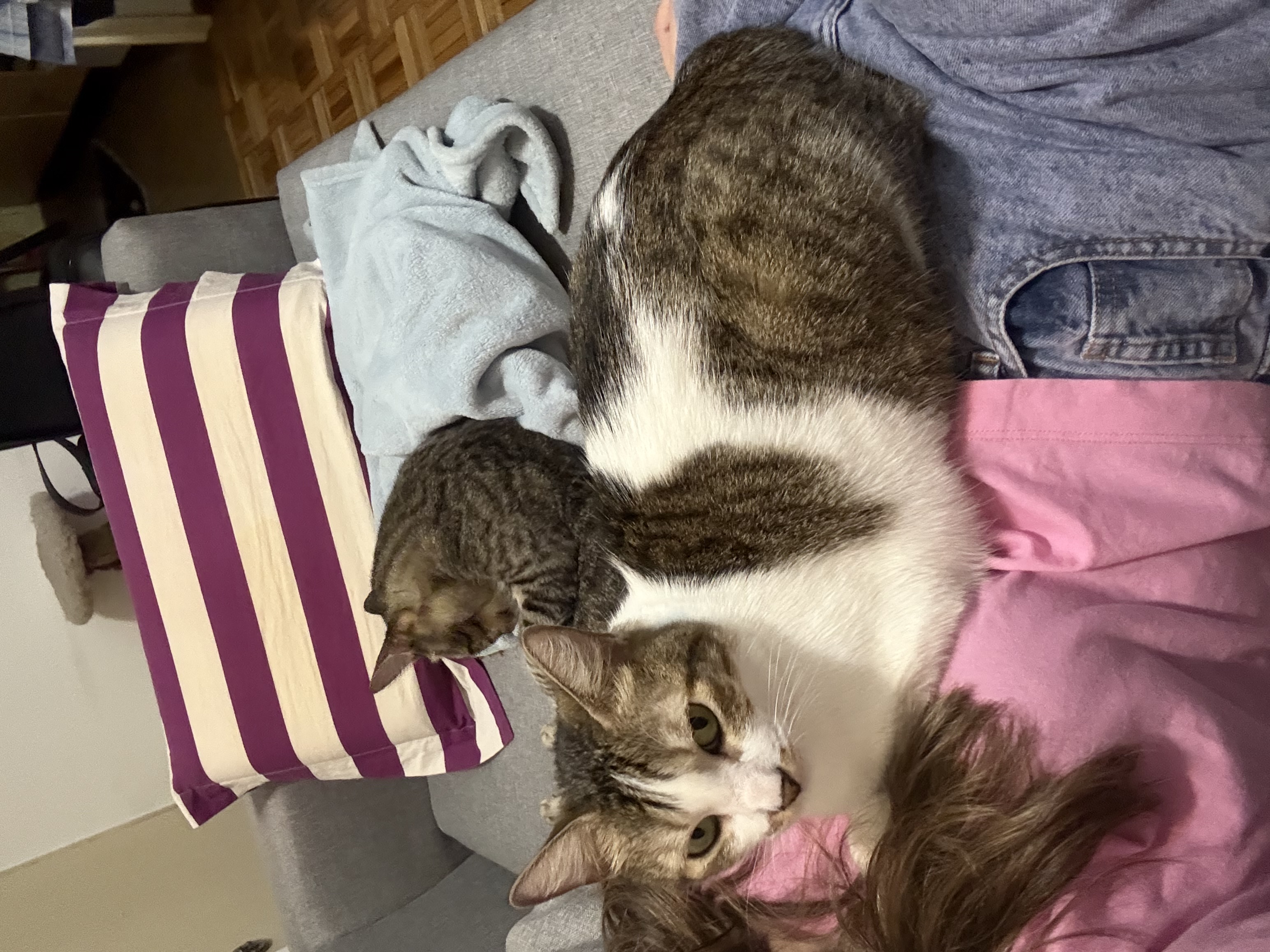 image-5