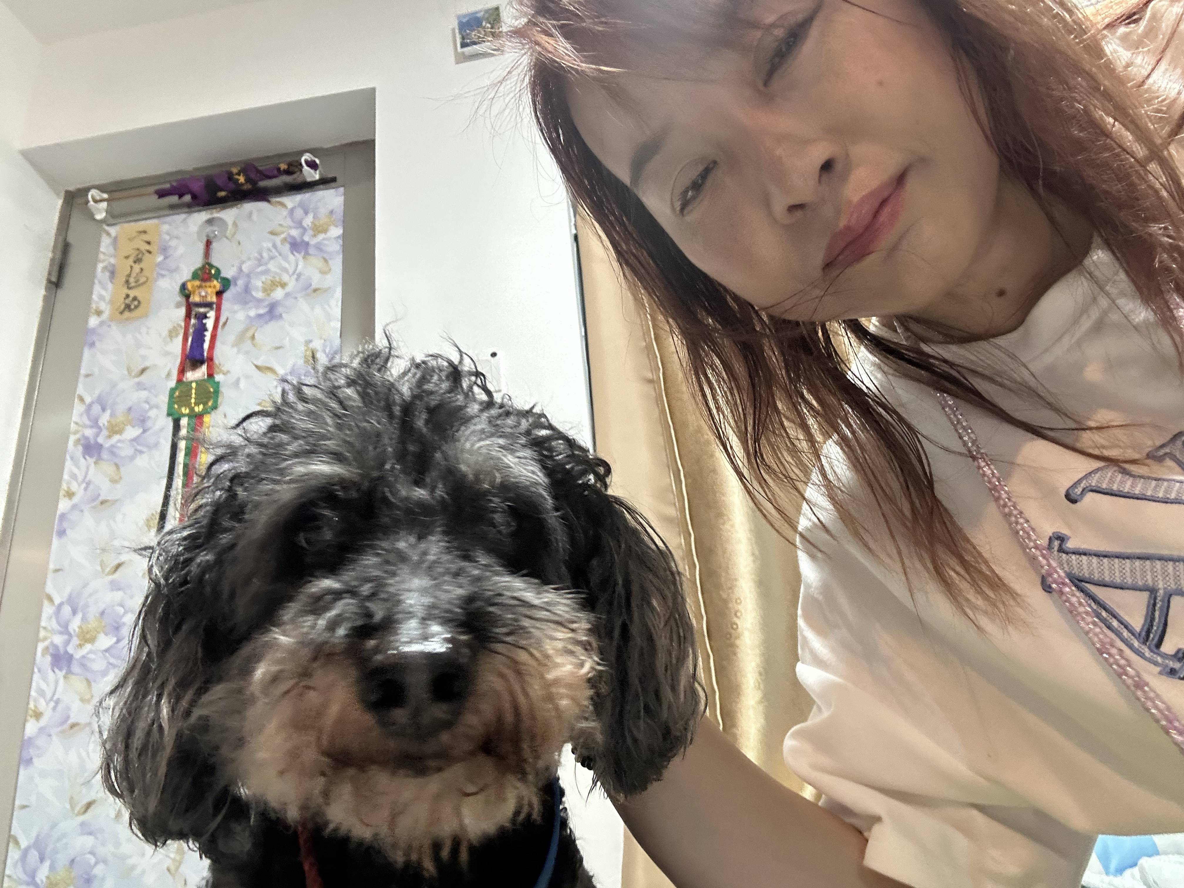 image-10
