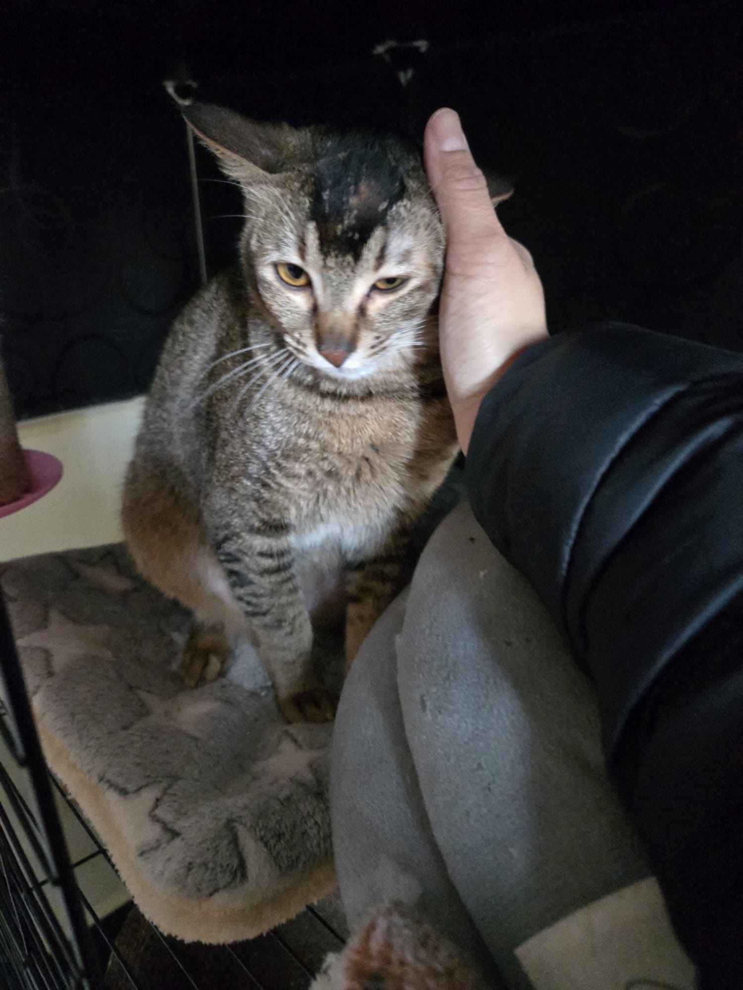 image-12