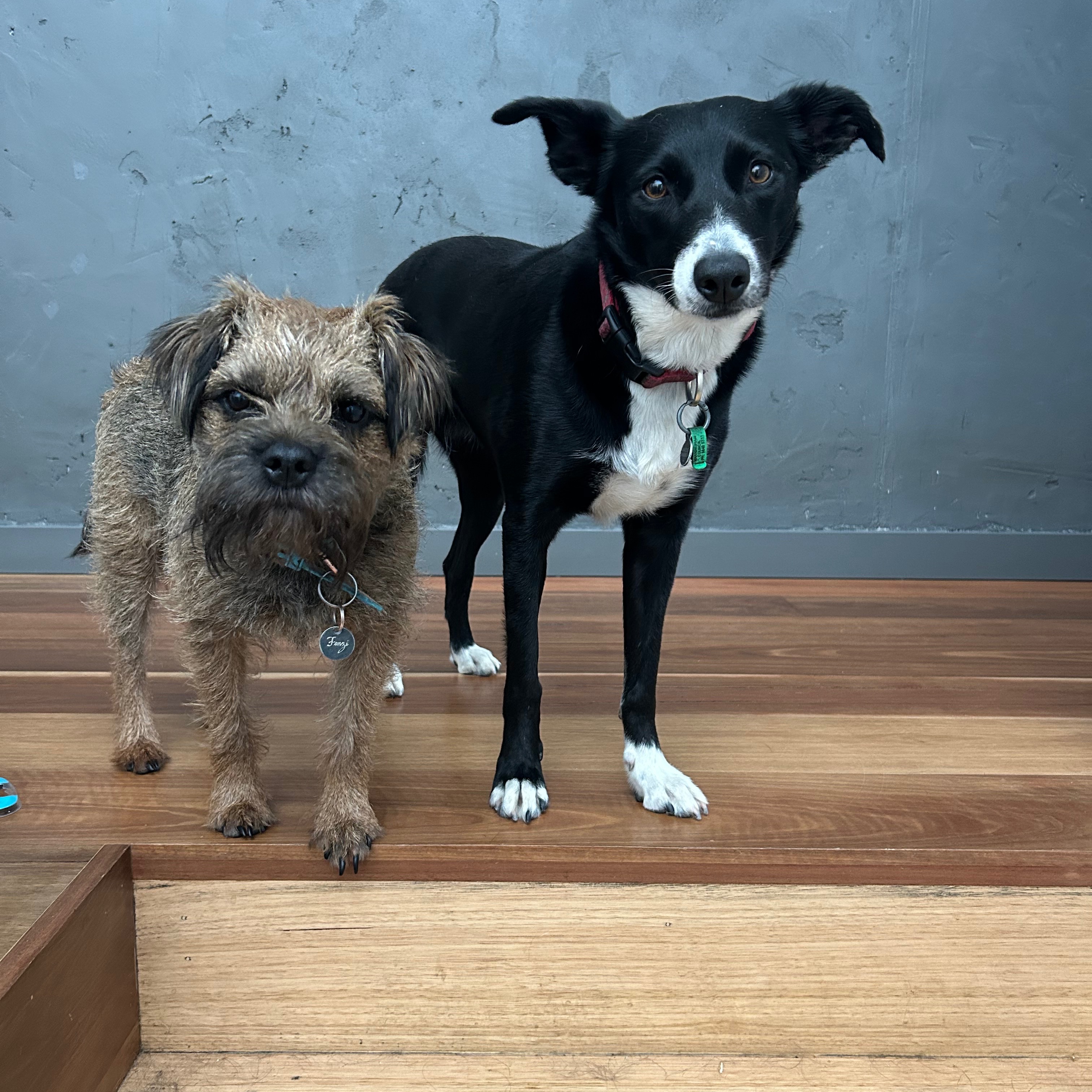 Fonzi and Maddie 