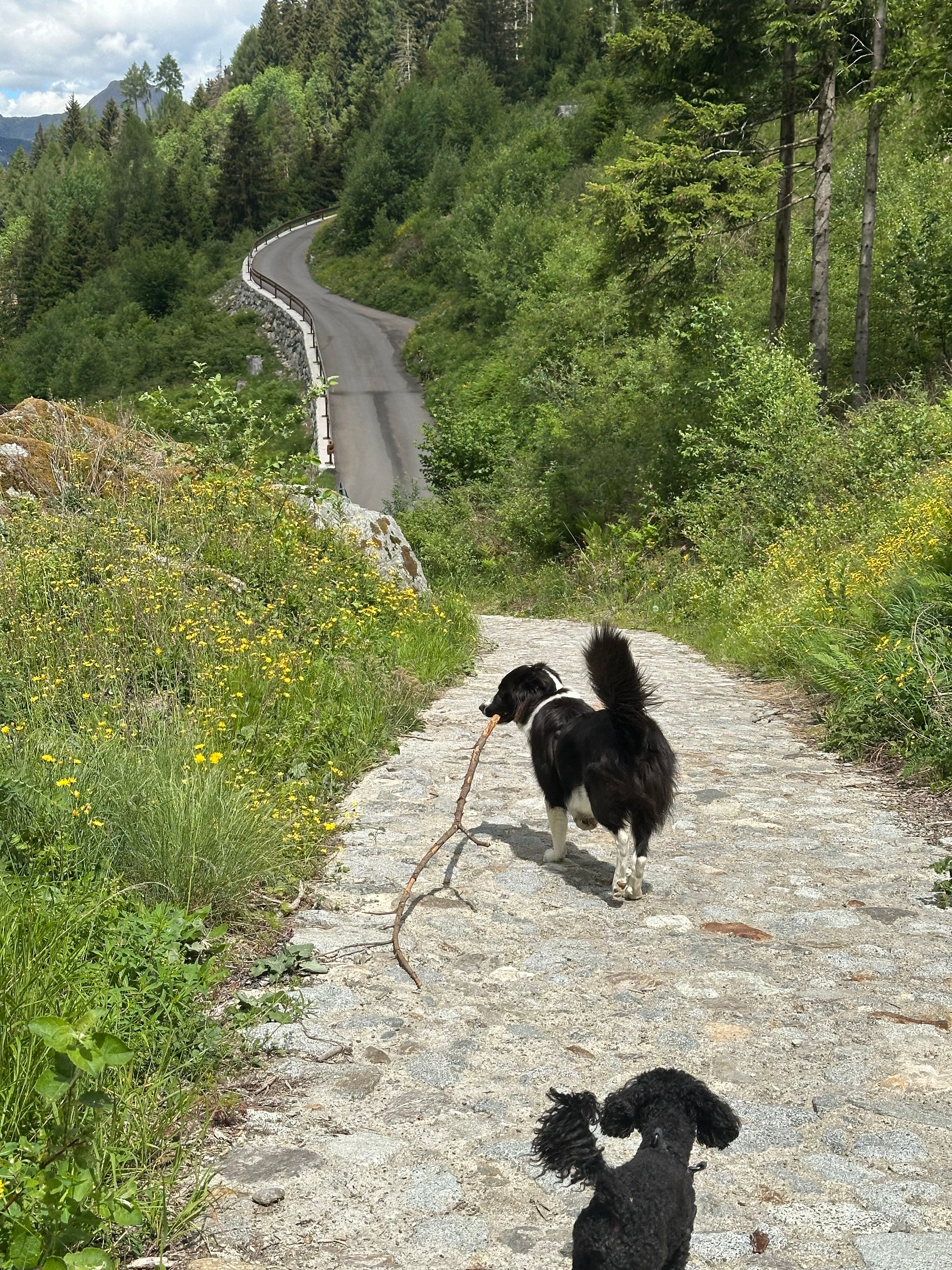 image-6