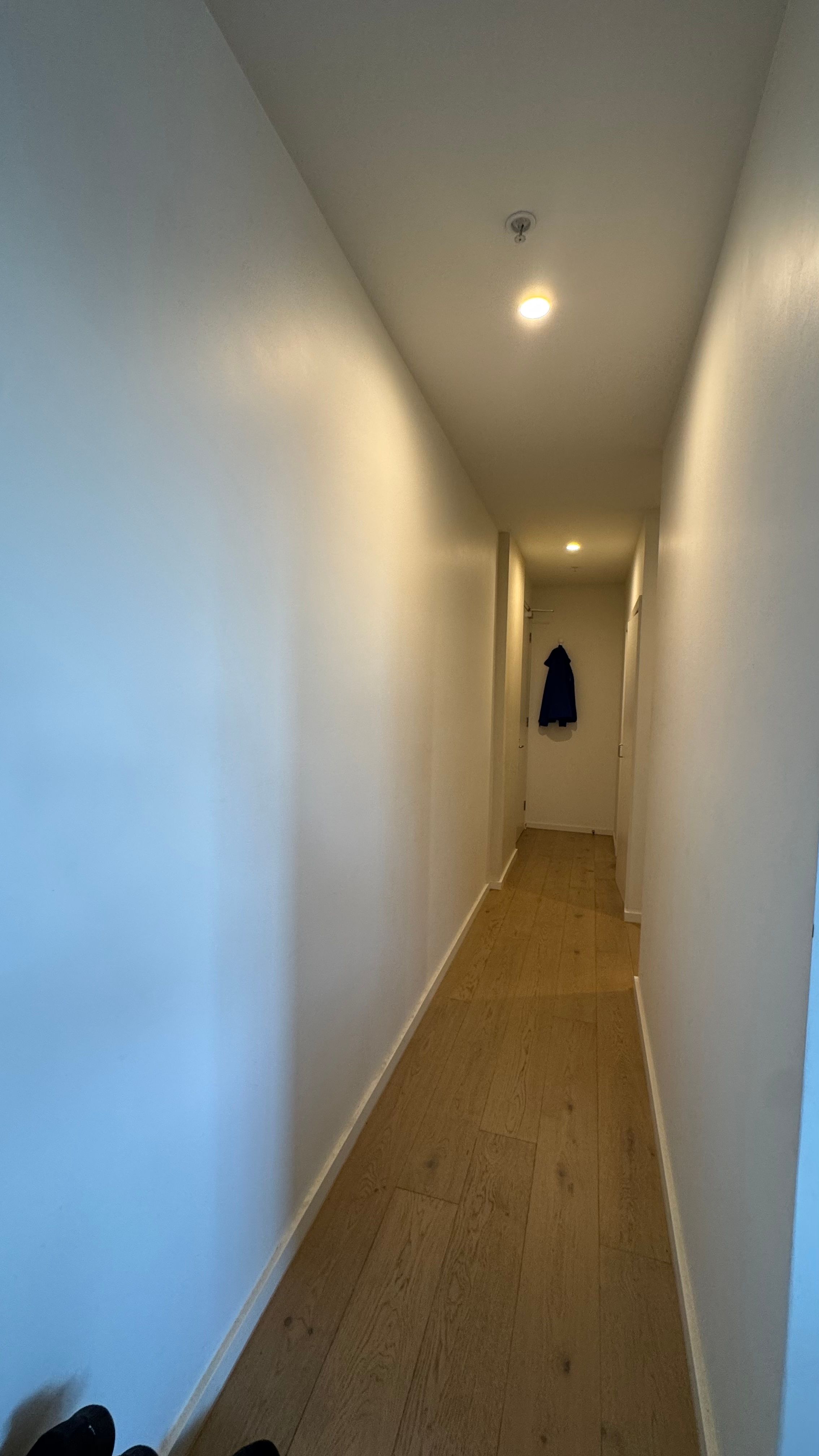 image-19