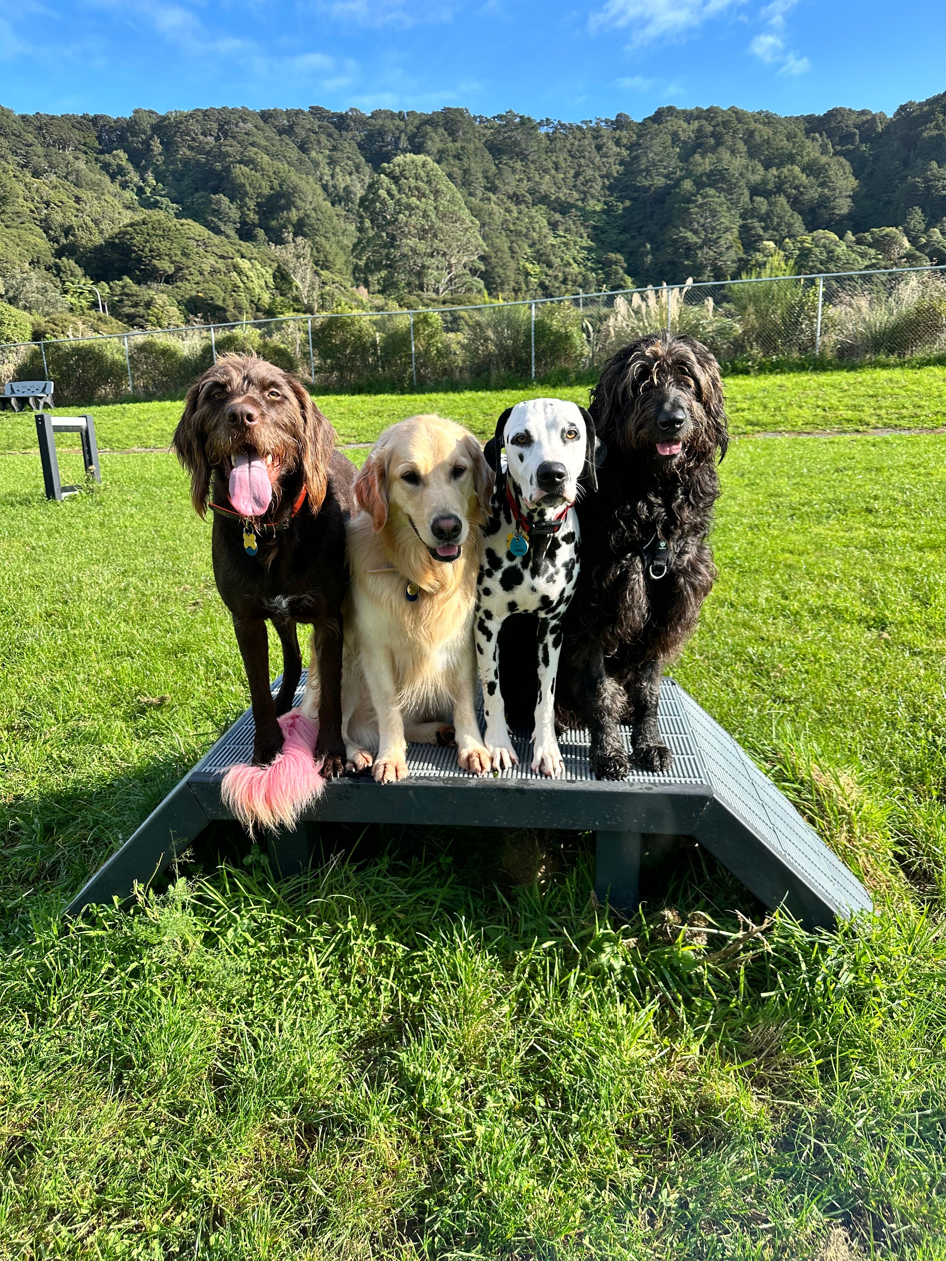 image-2
