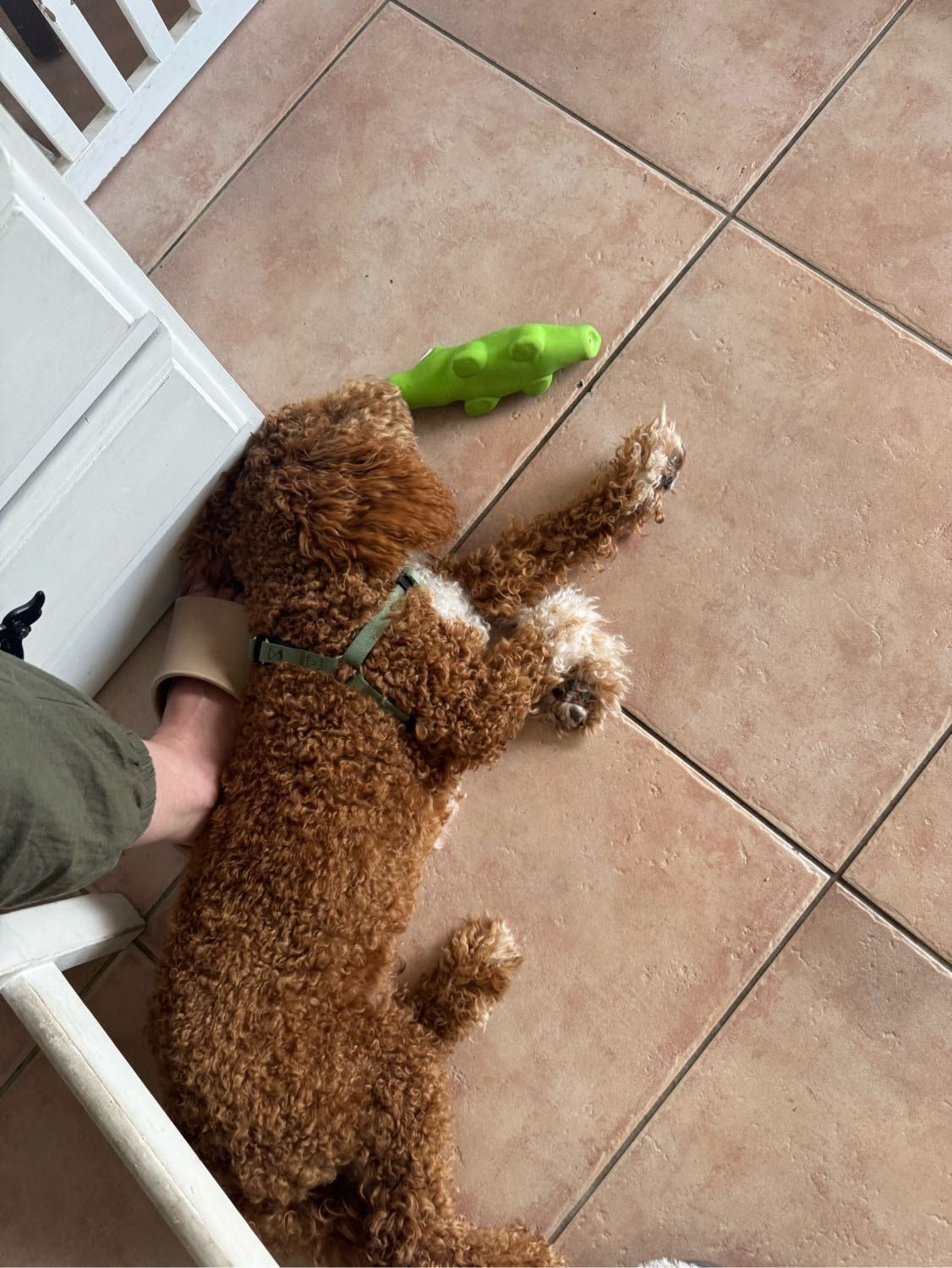 image-12