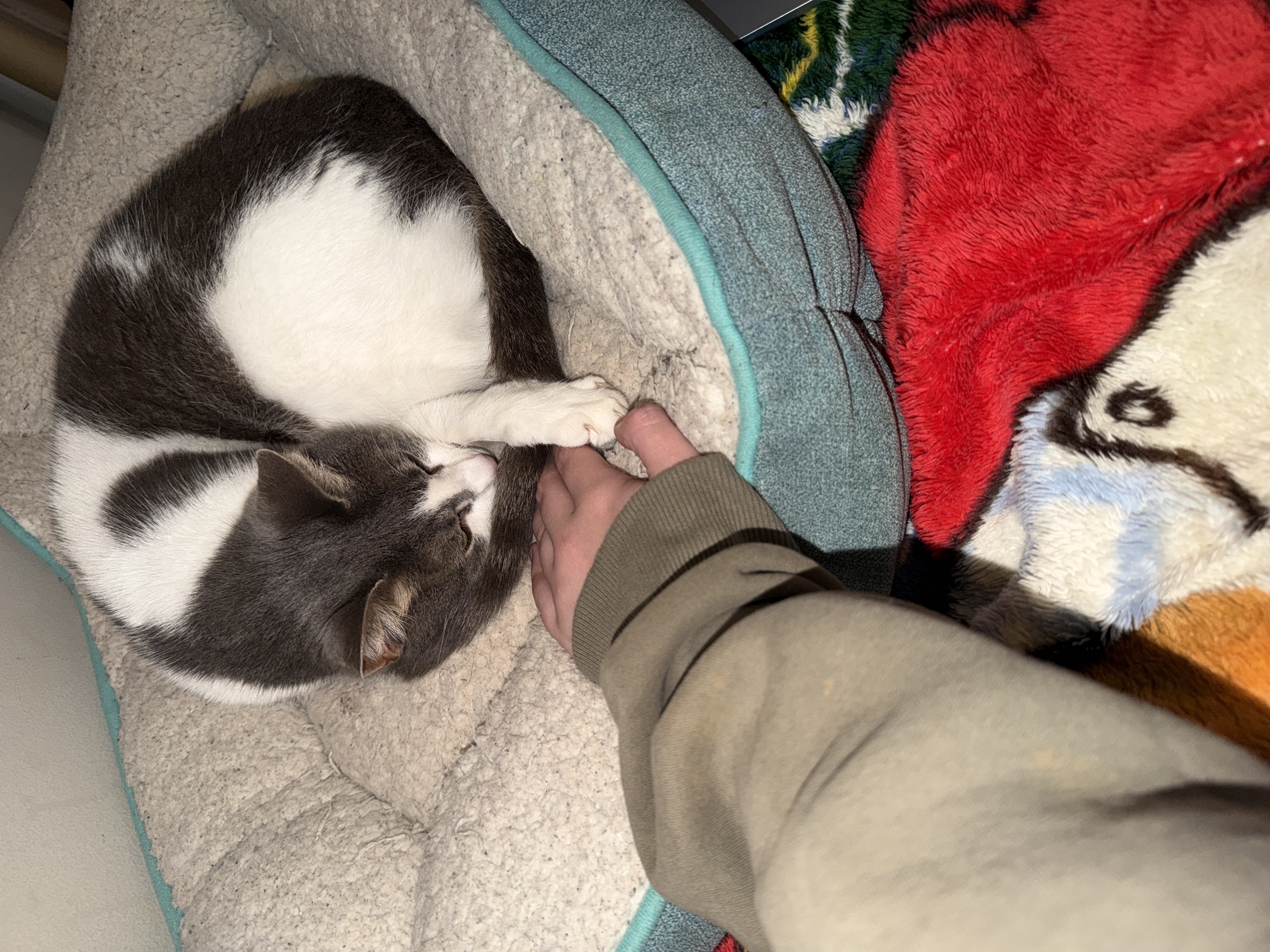 image-6