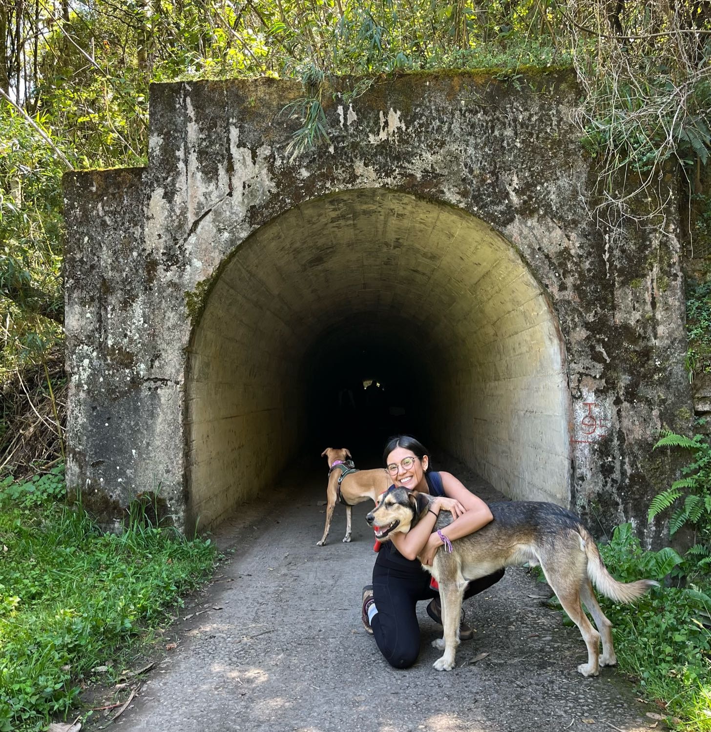 image-8