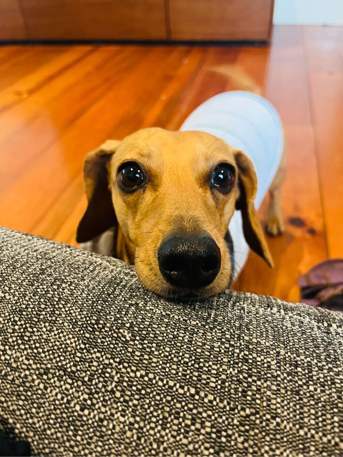 image-25
