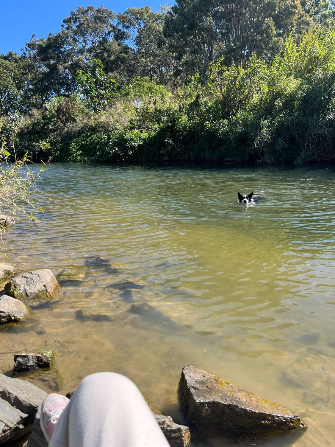 image-12