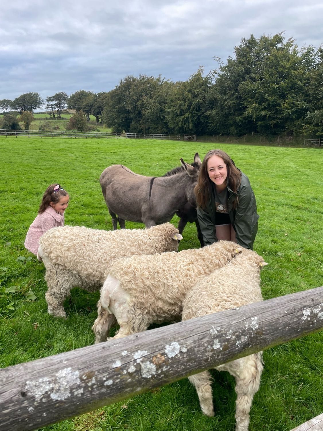 image-4