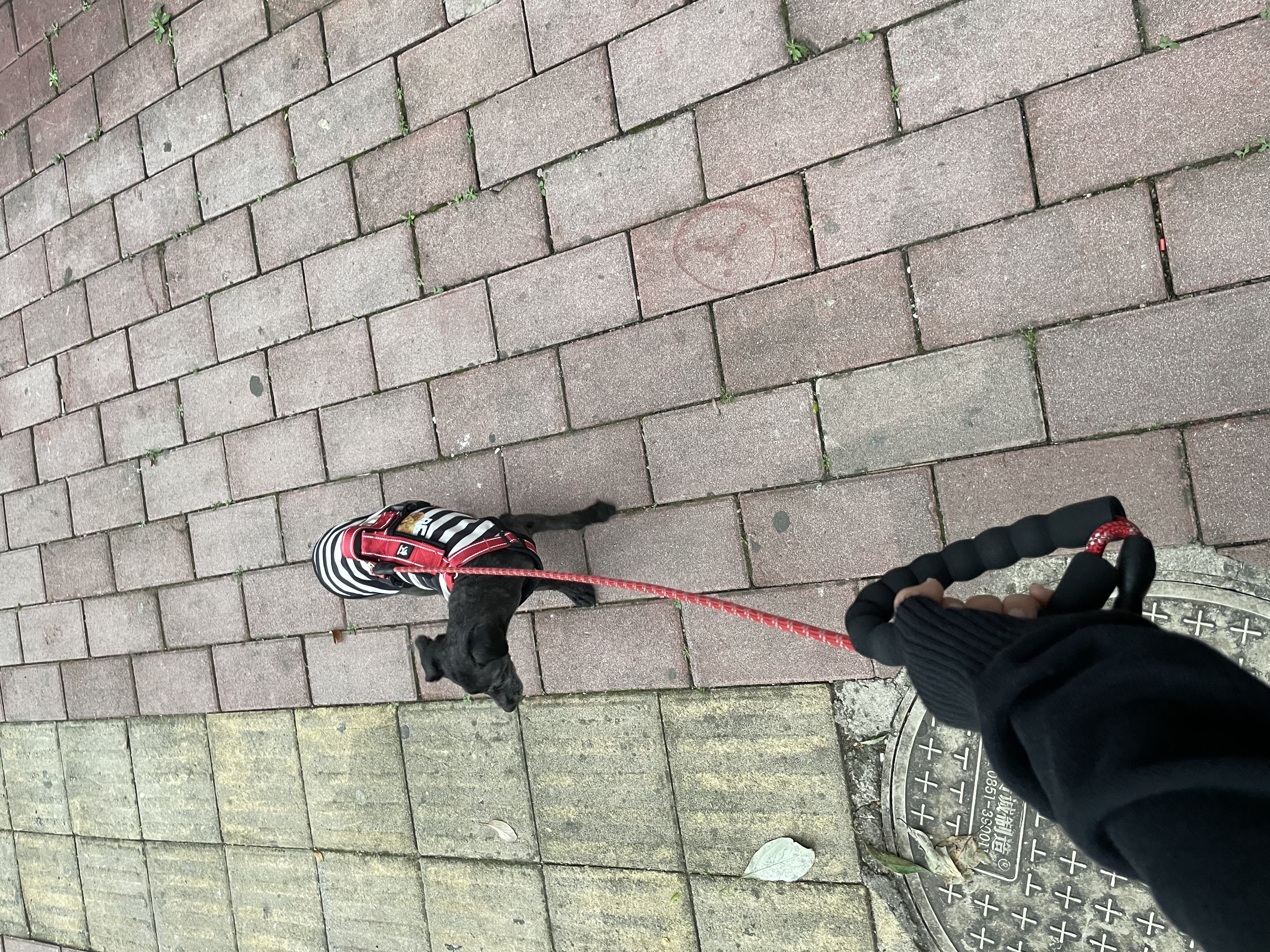 image-4