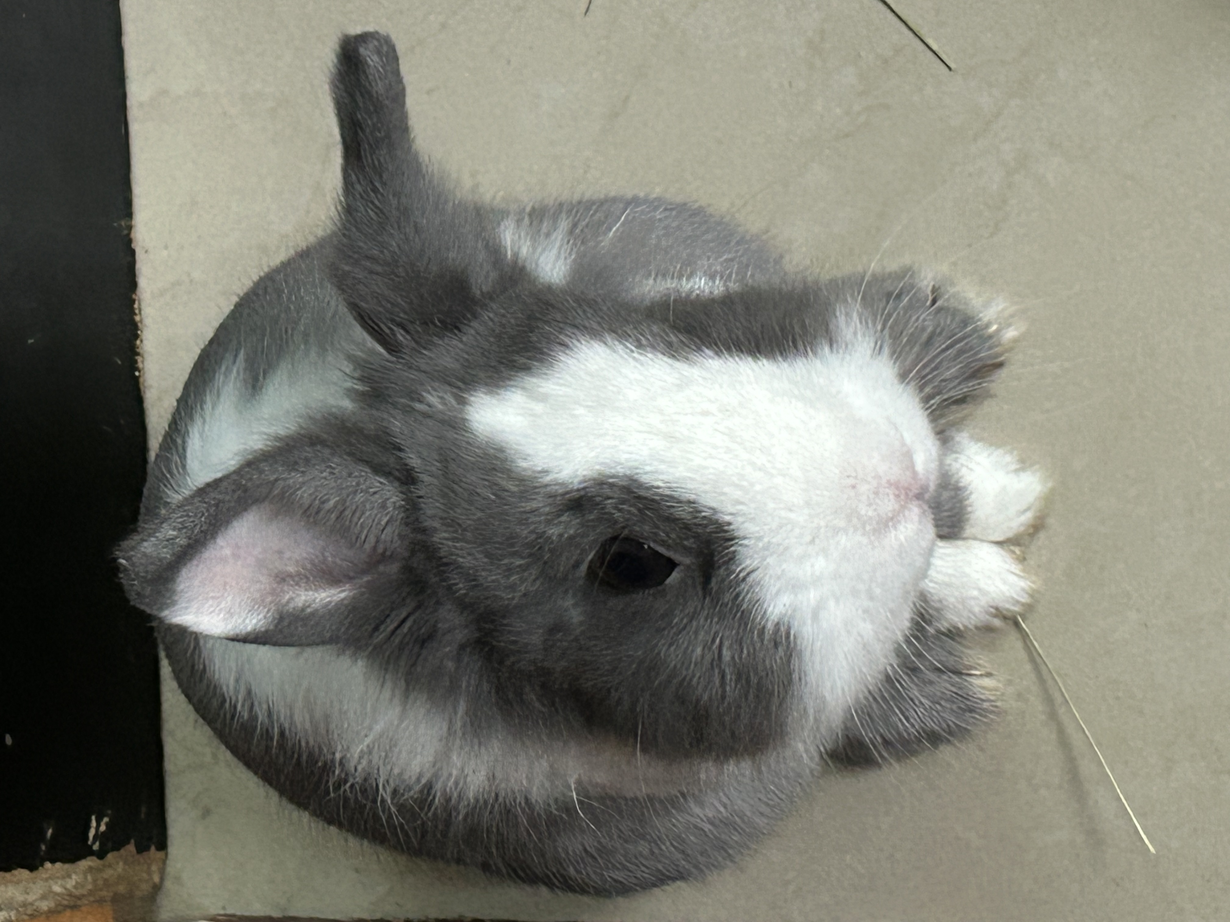 image-5