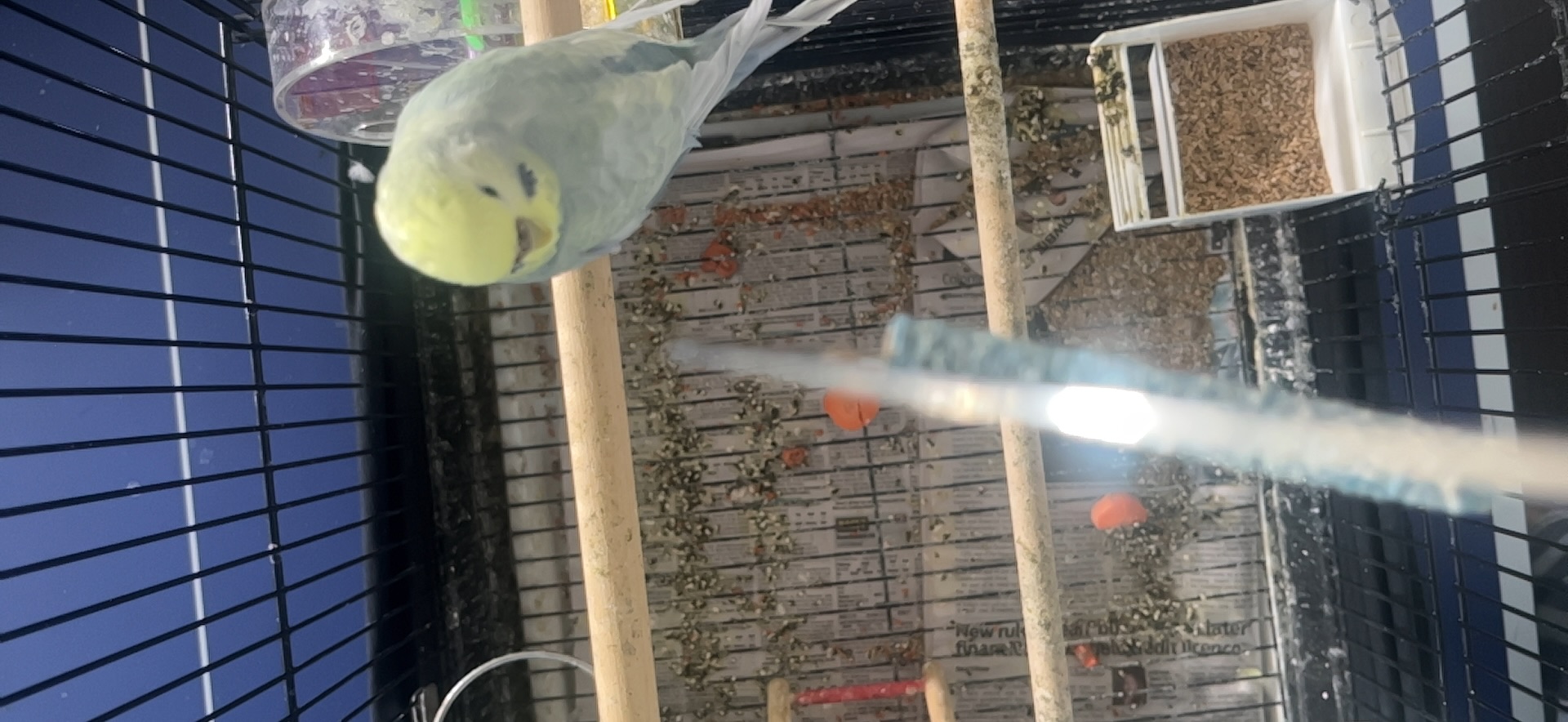 image-7