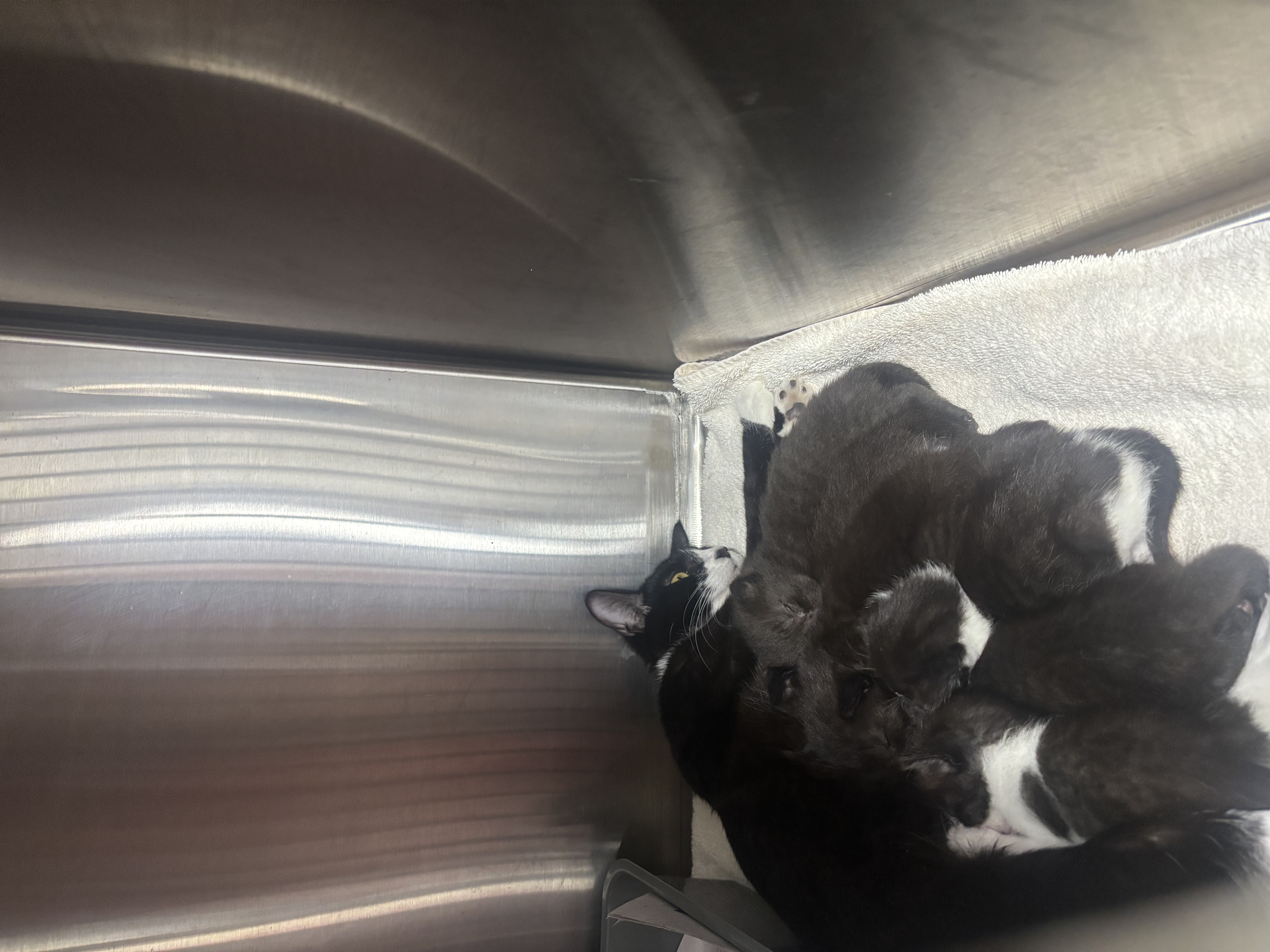 image-6