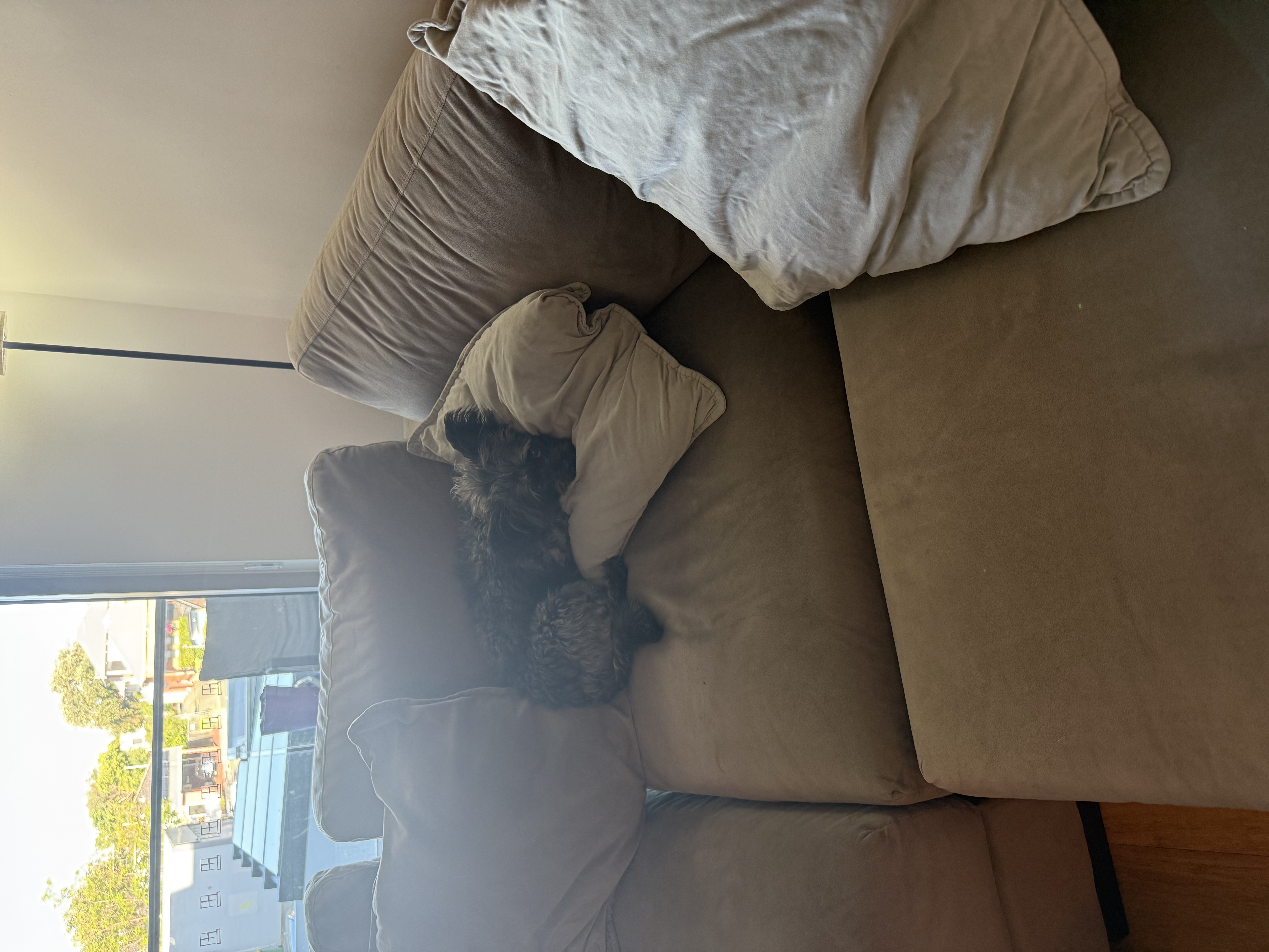 image-6