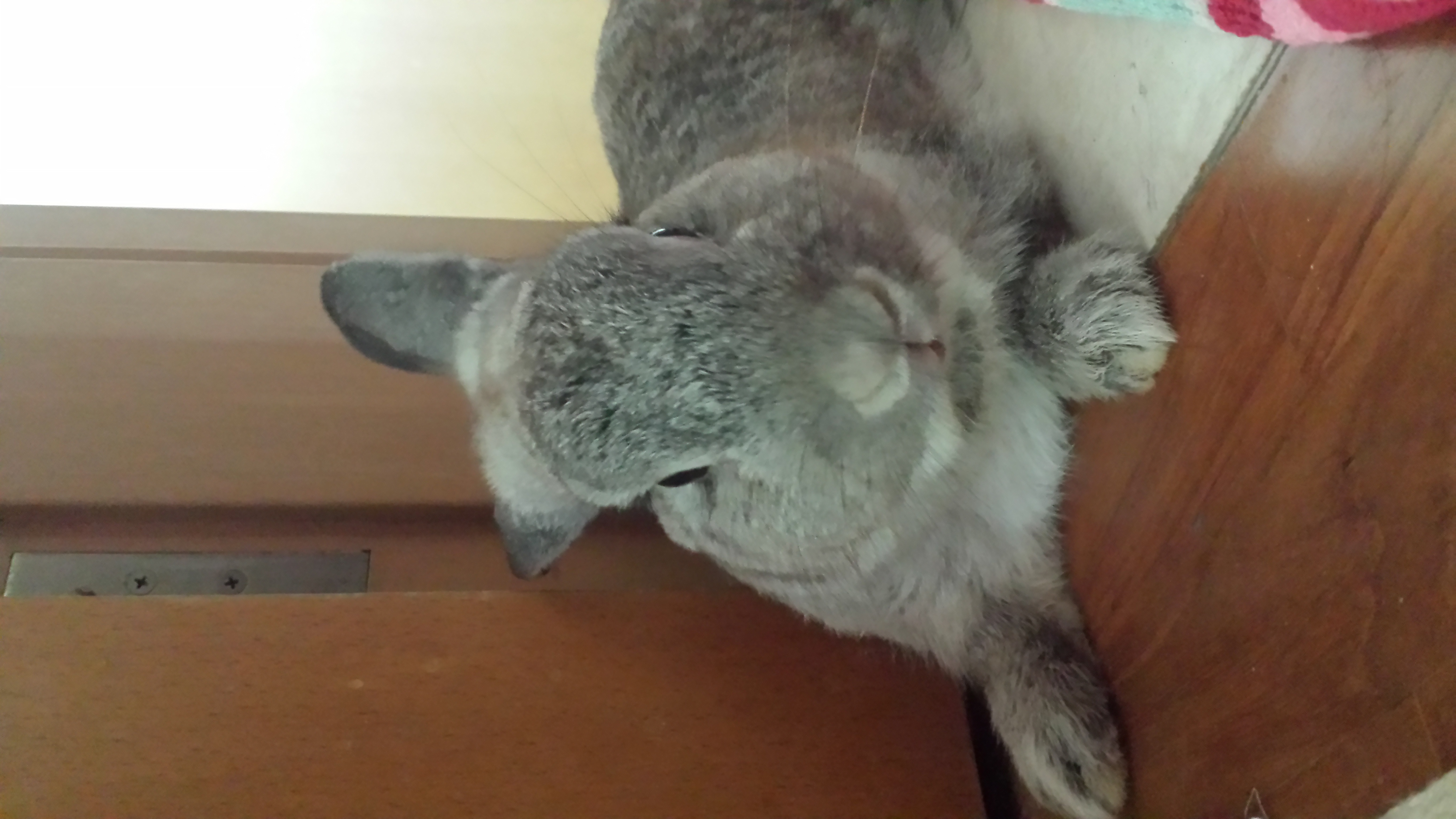 image-5