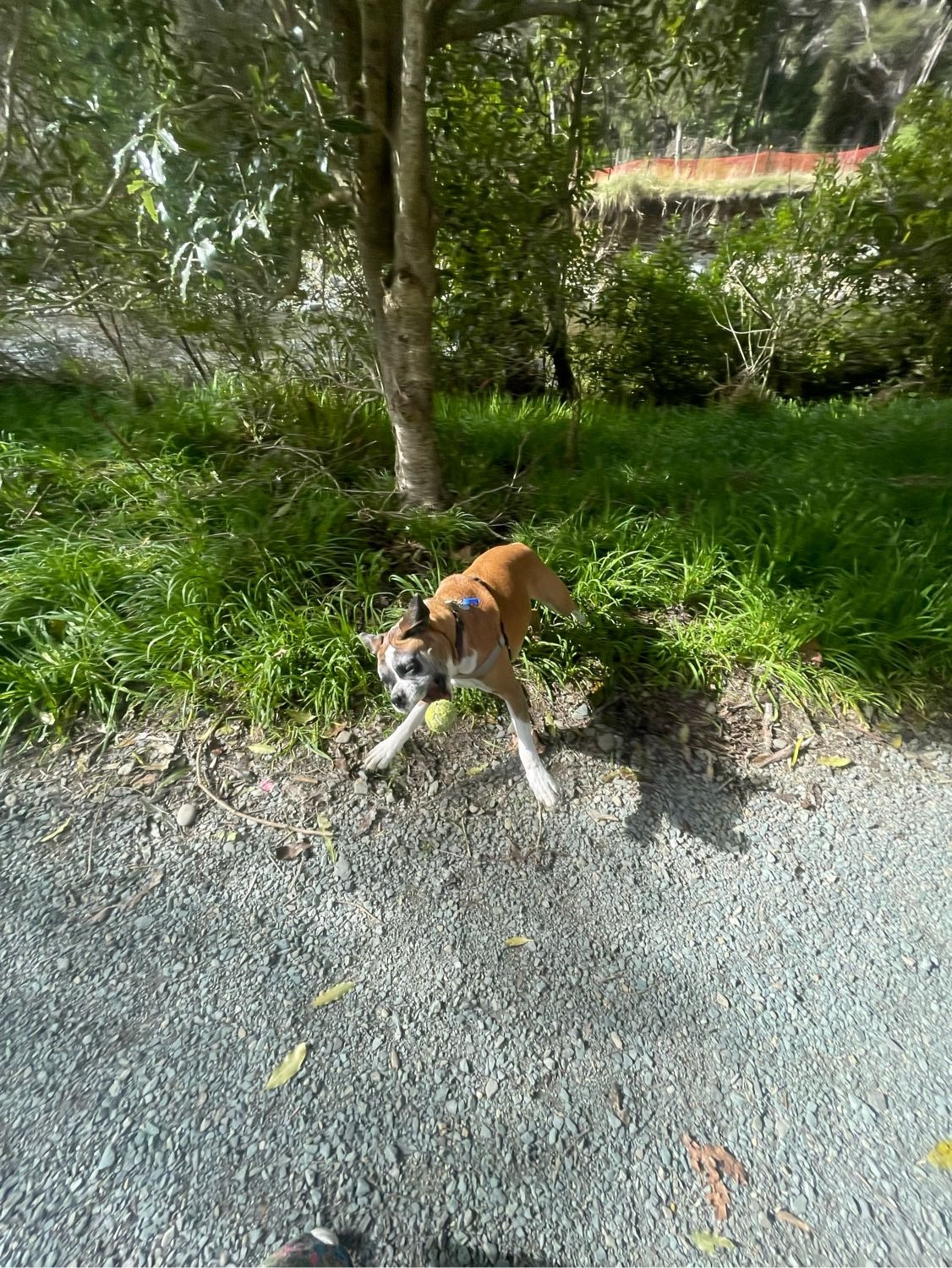 image-14