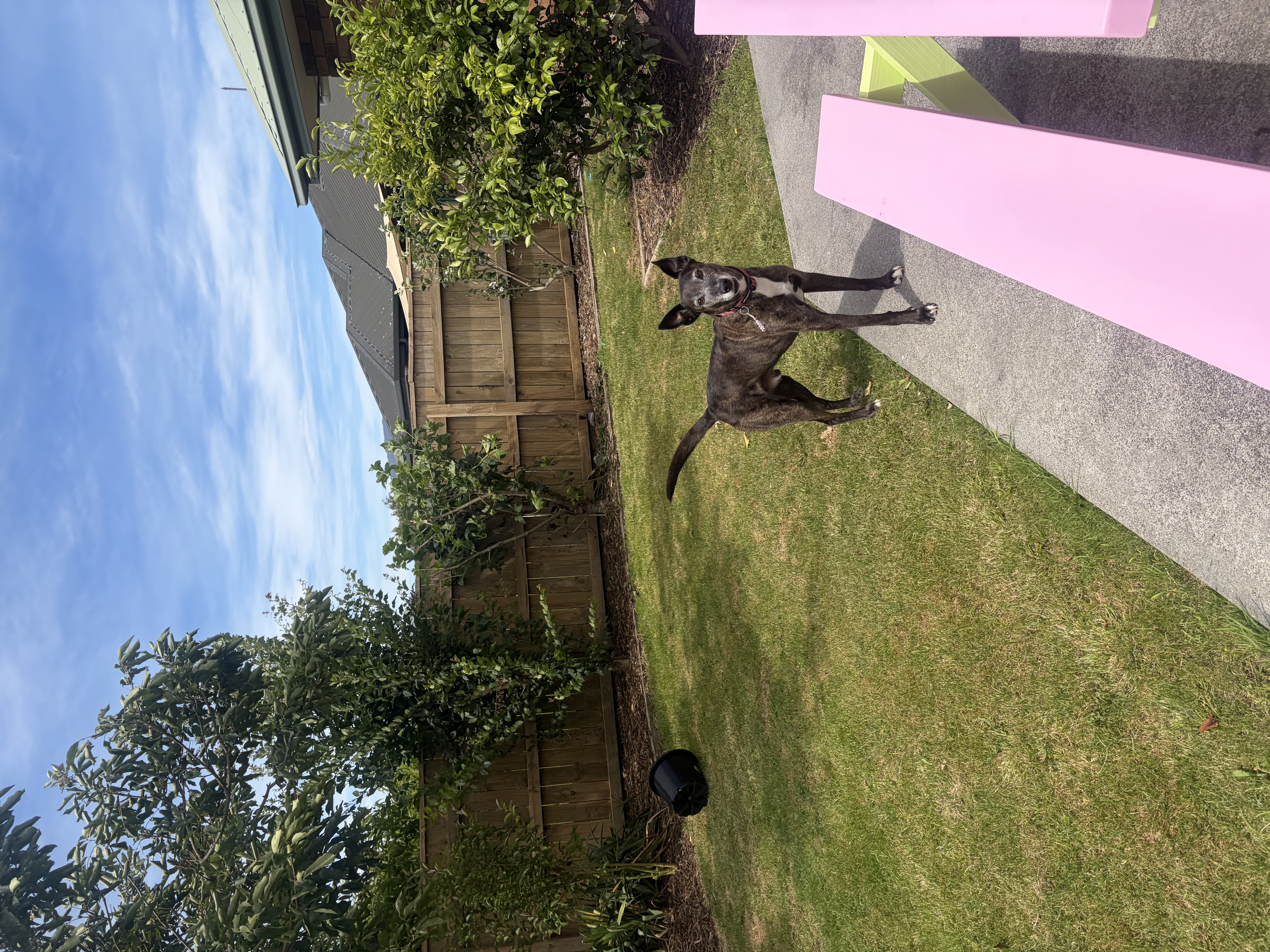 image-32